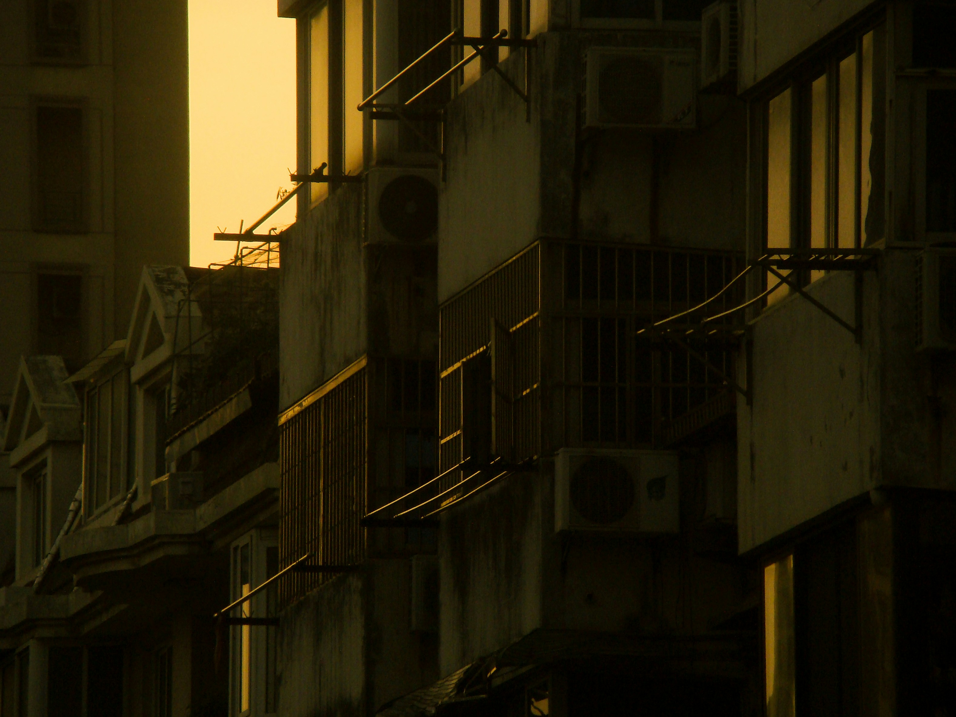 Photo by maro_of_sengu