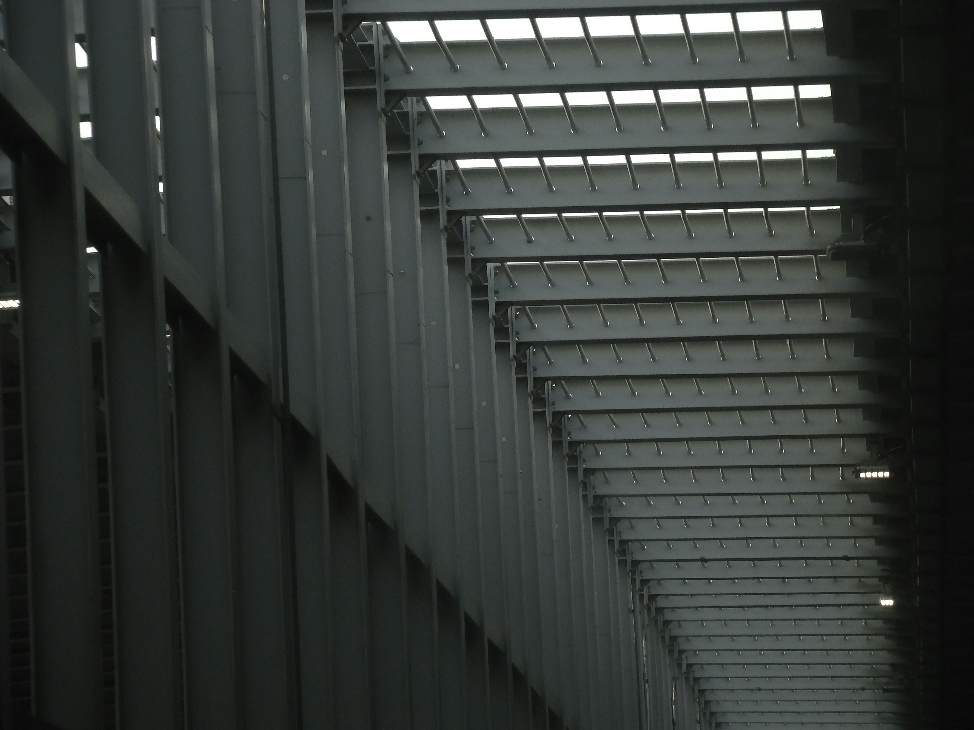 Photo by maro_of_sengu