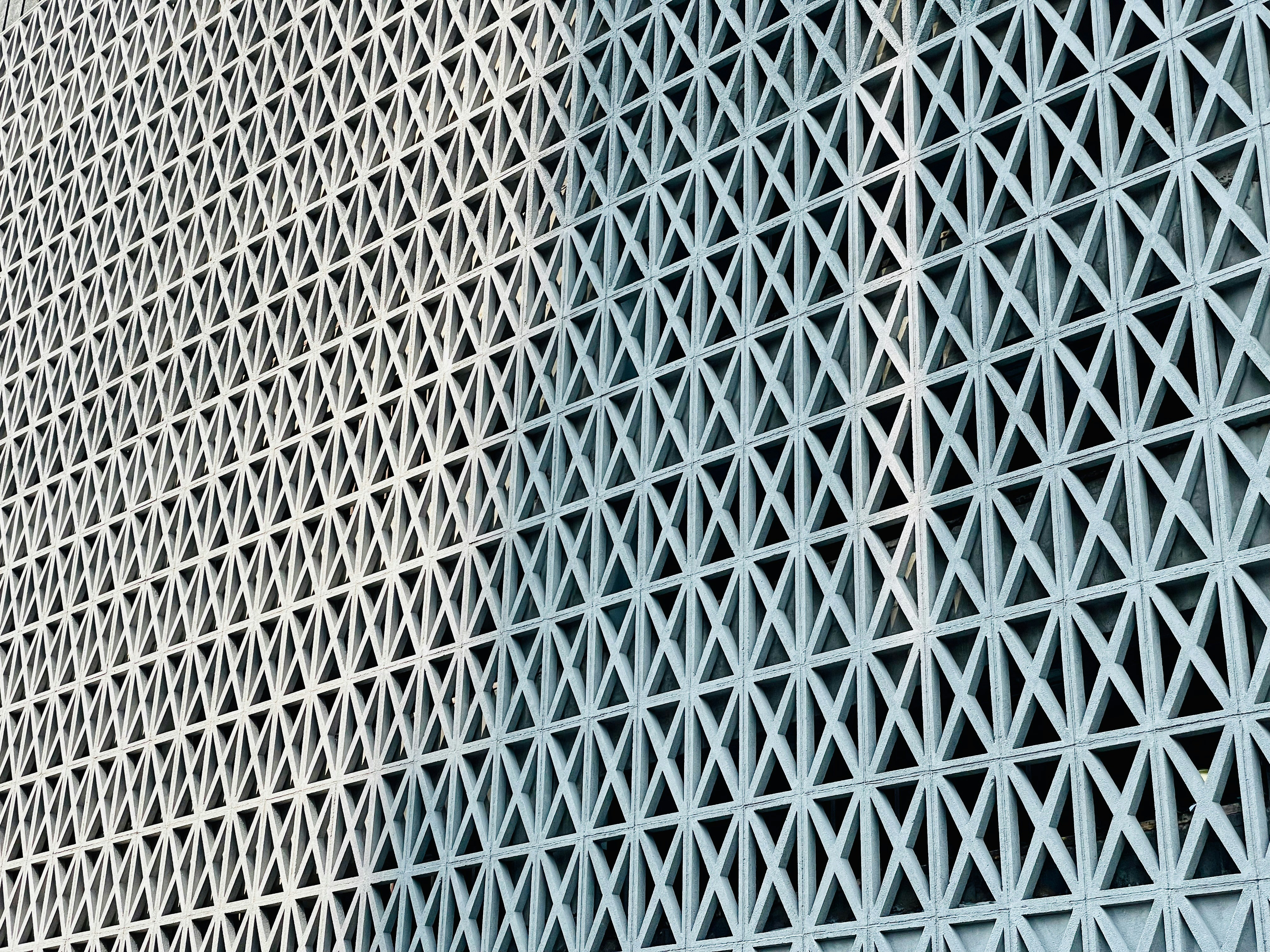 Photo by stevedimatteo