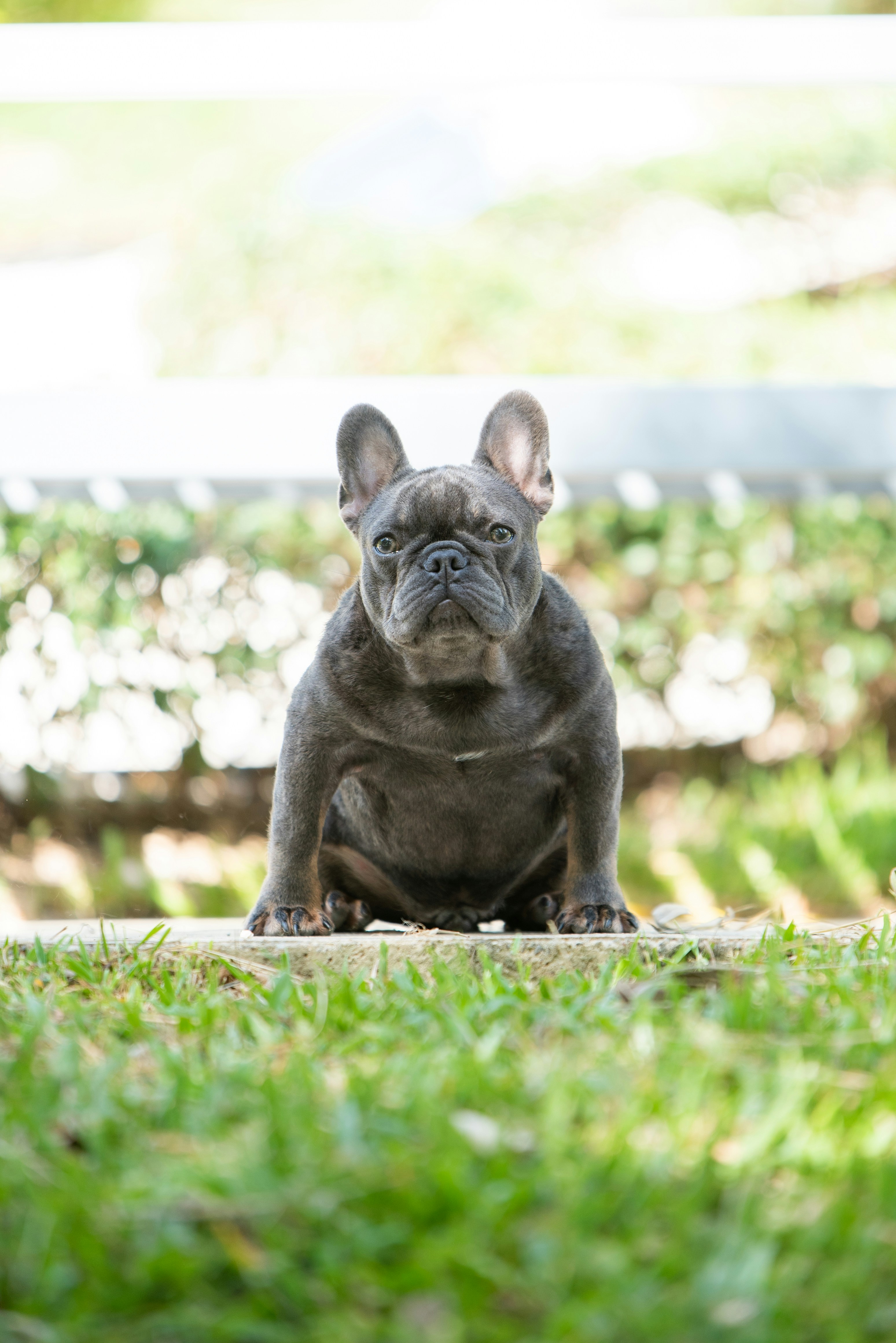 Photo by rvargasphoto