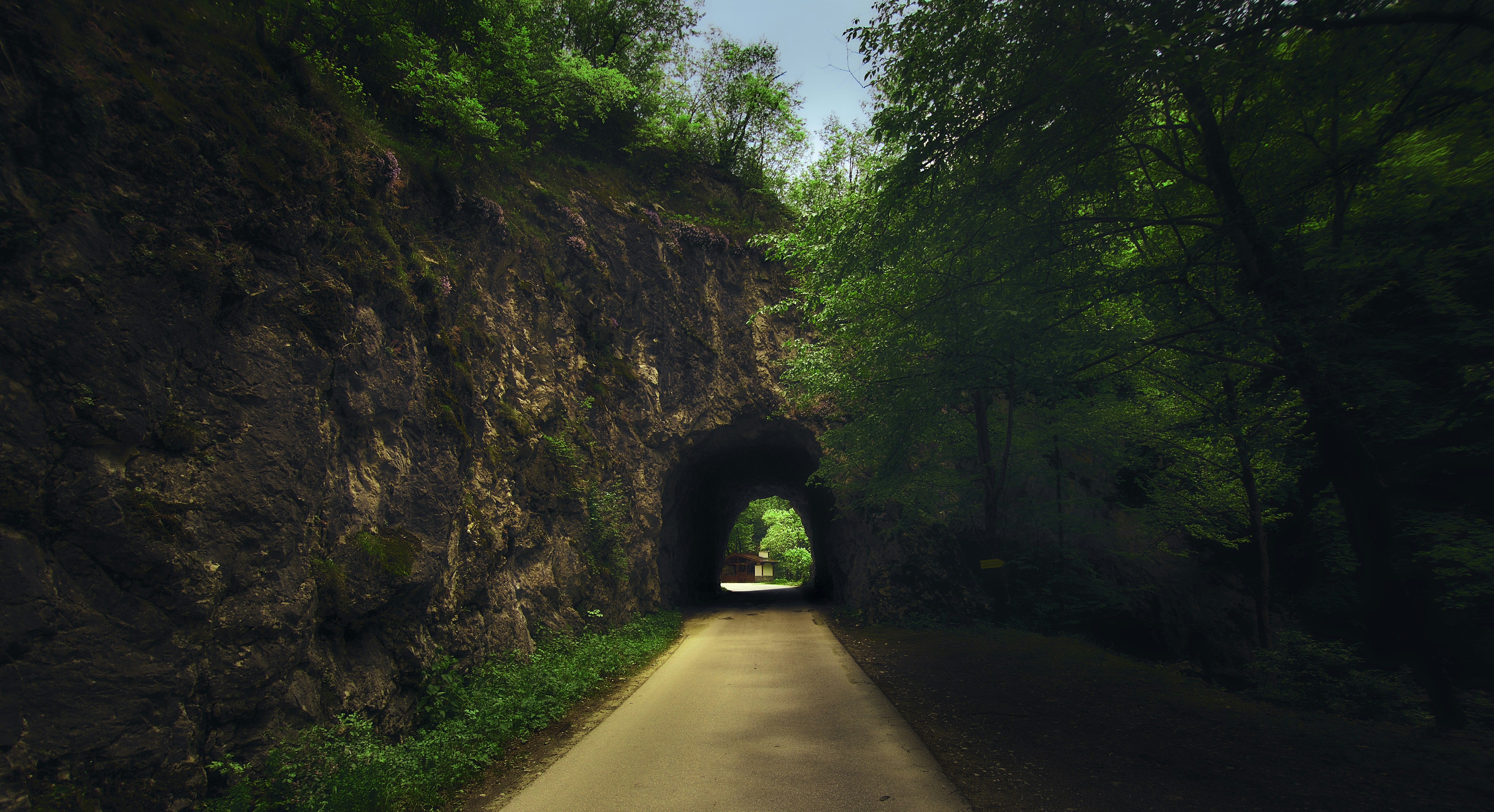 Photo by blooddrainer