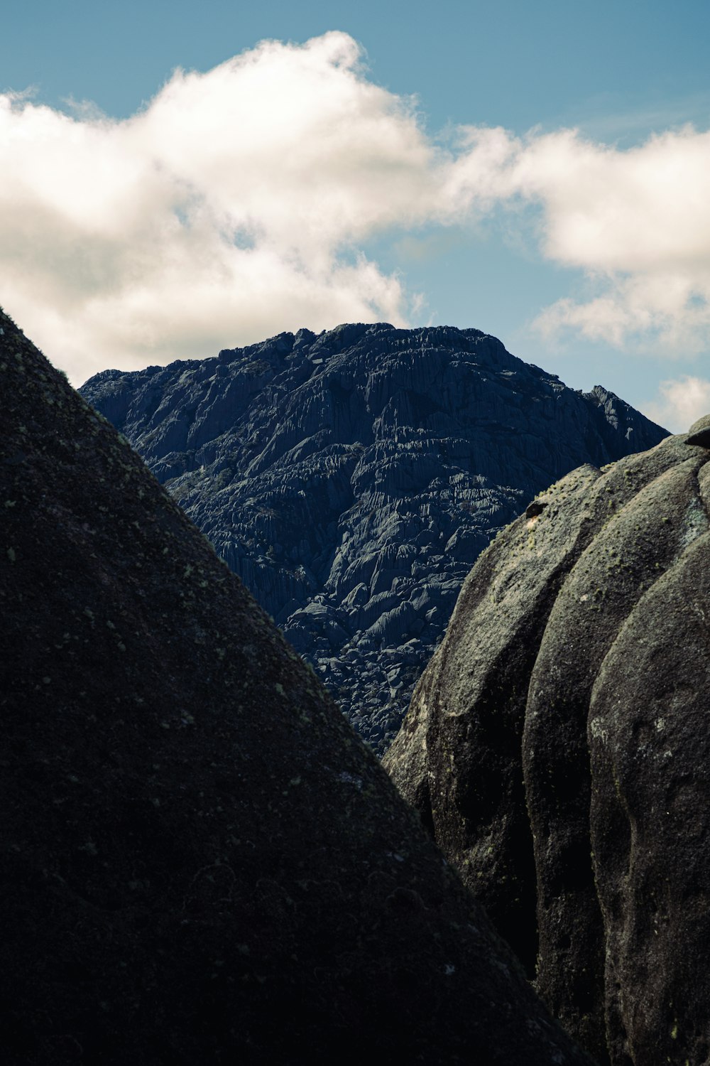 a bird perched on top of a large rock