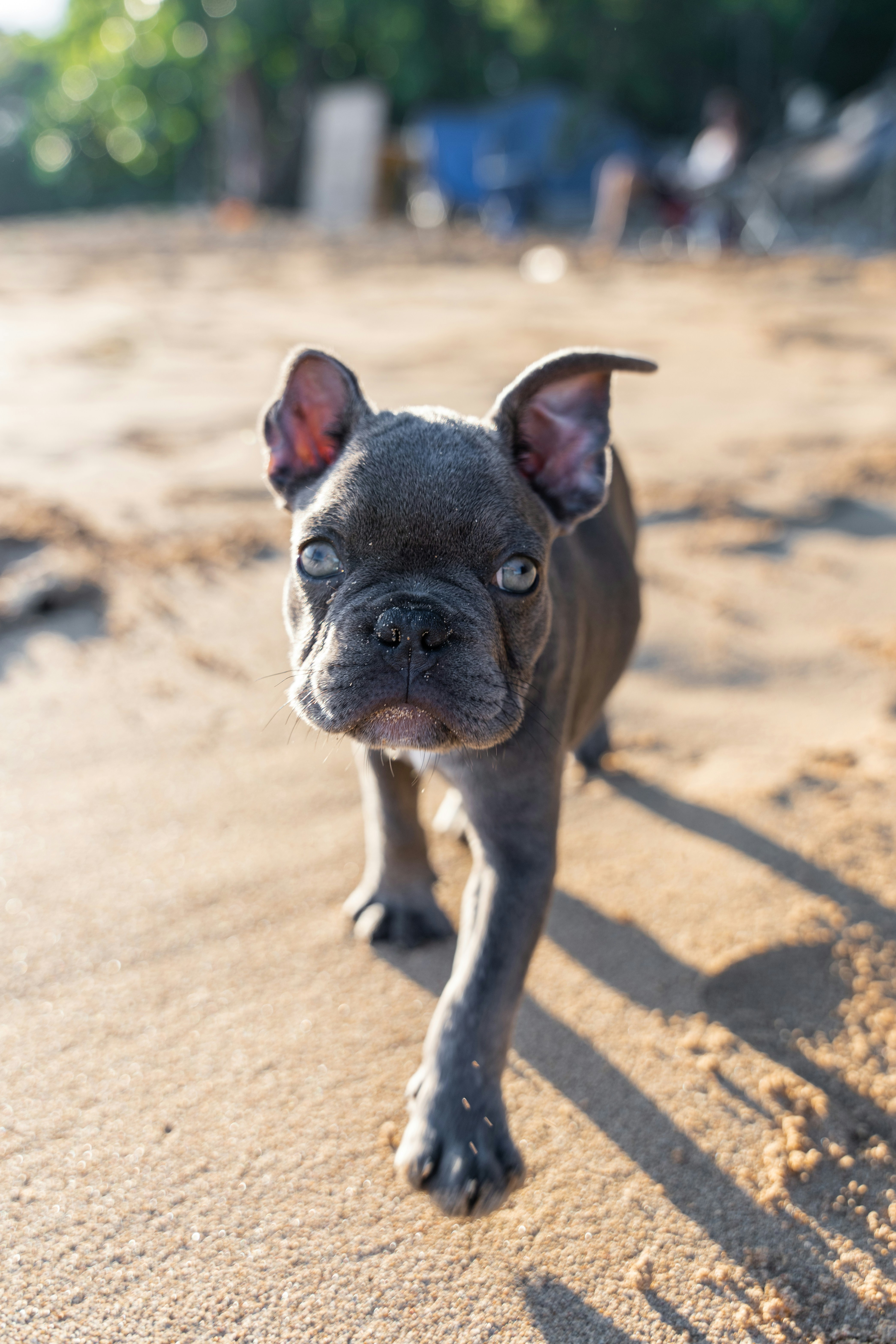 Photo by rvargasphoto