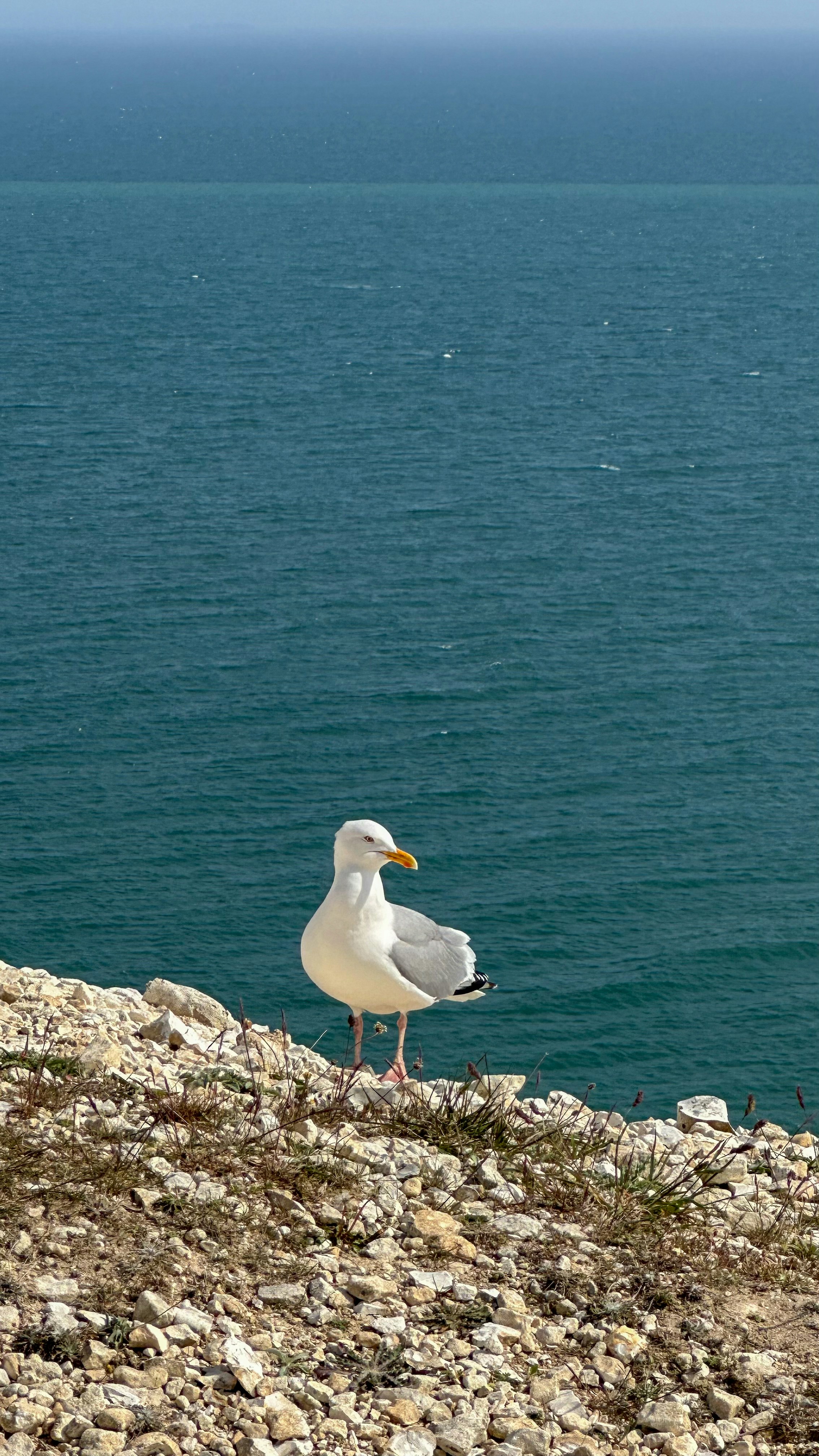 Photo by andreeamarialoga