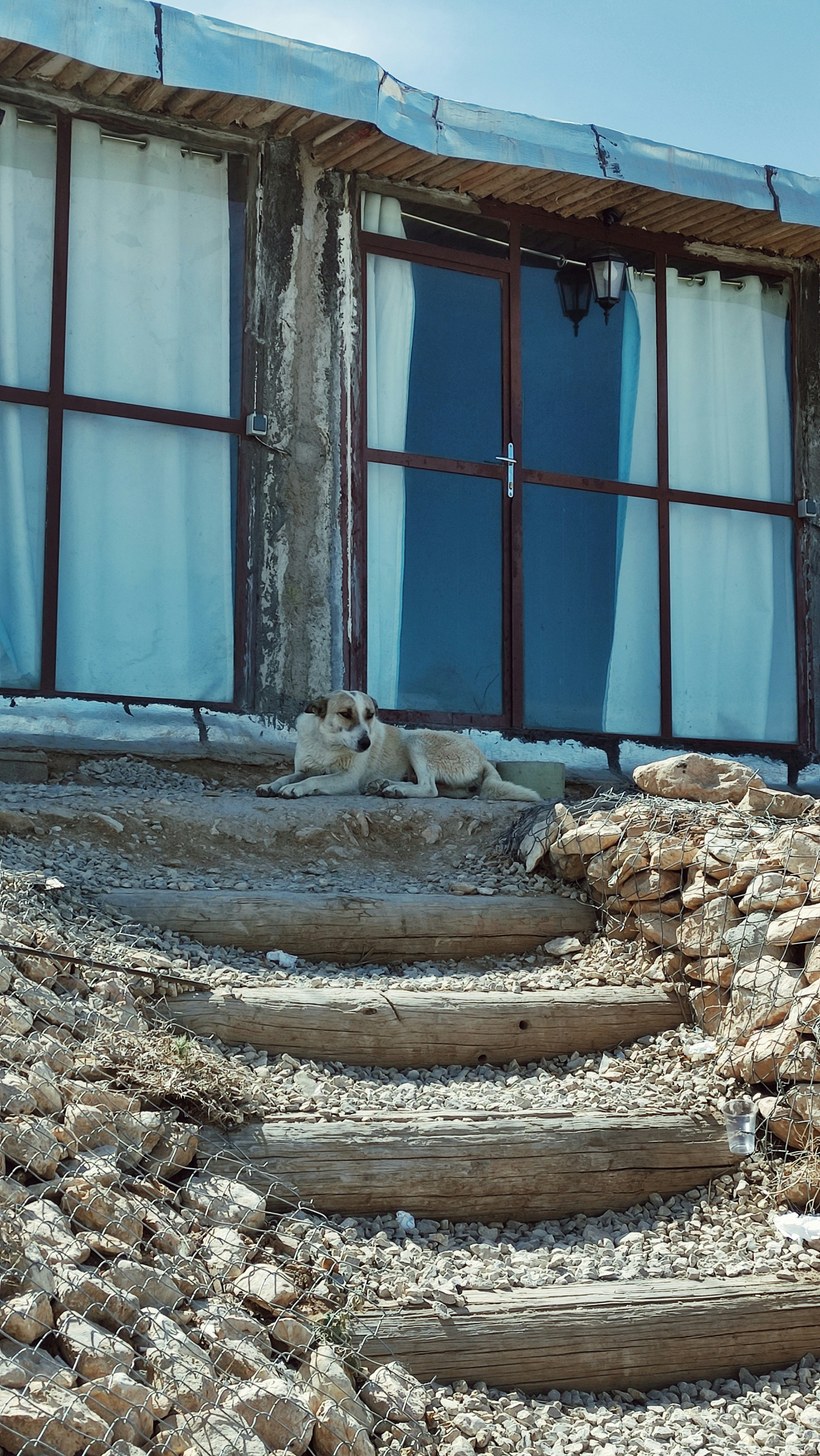 Photo by fatemeheghbalpour