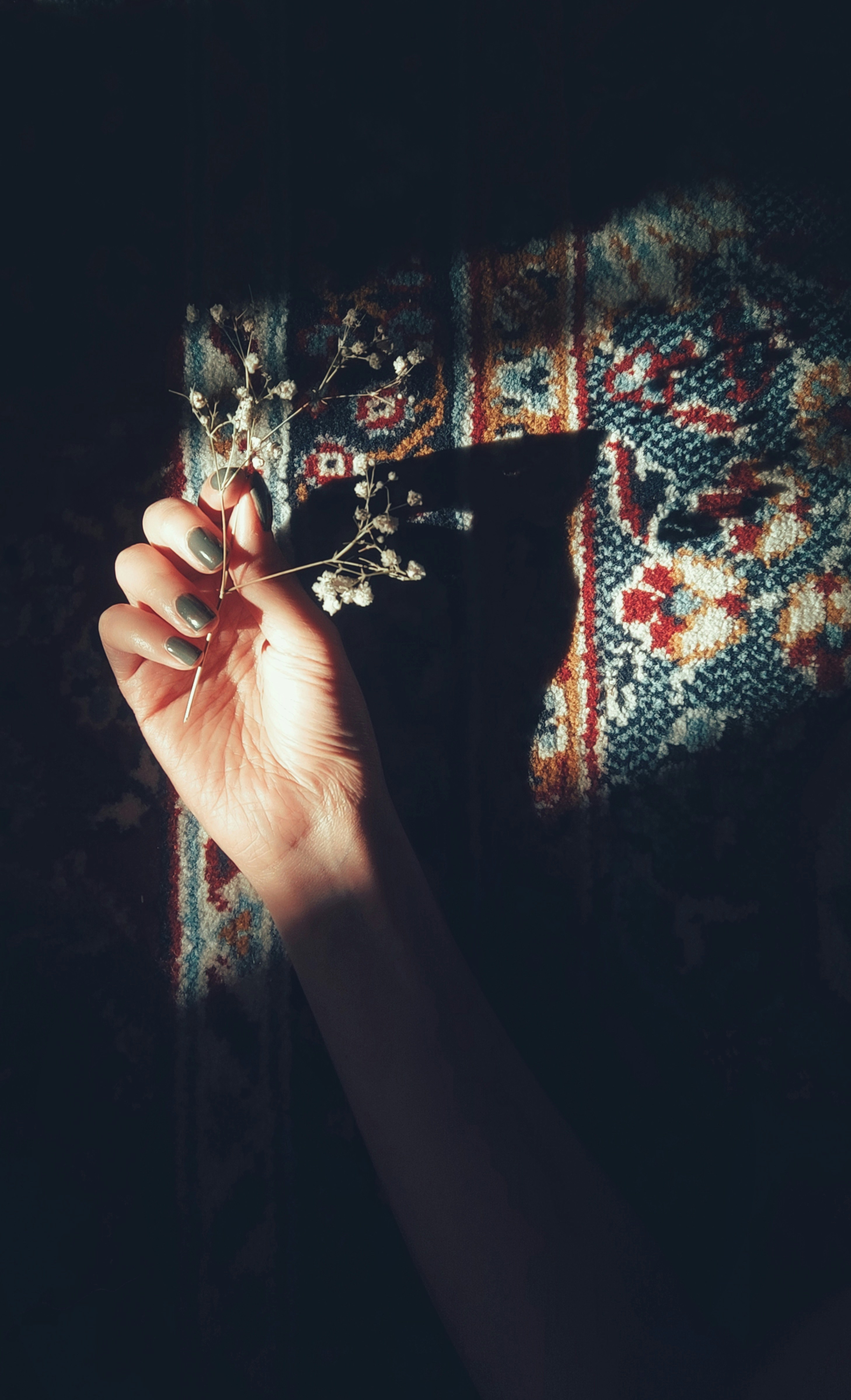 Photo by fatemeheghbalpour