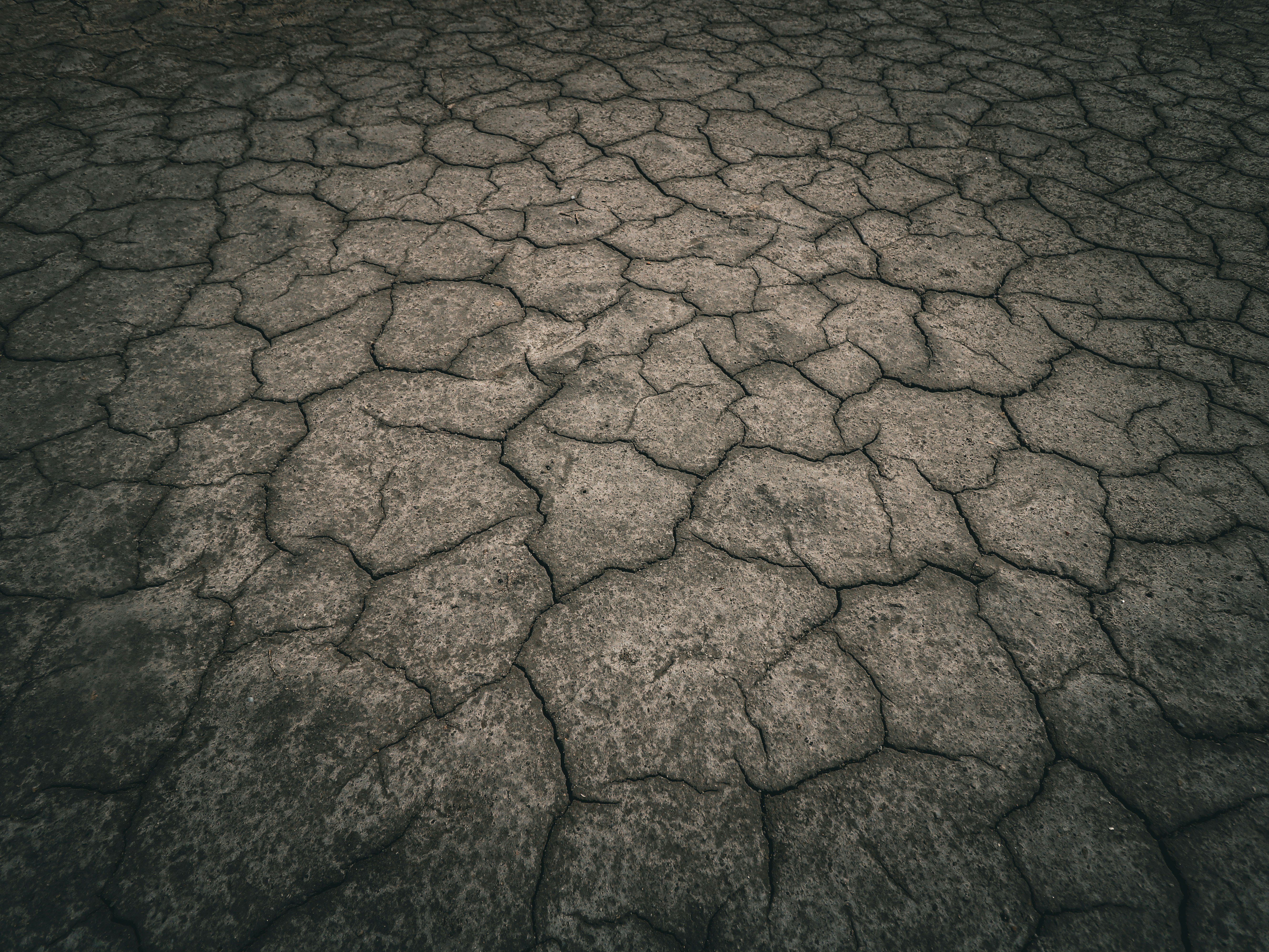 a black and white photo of a cracked surface