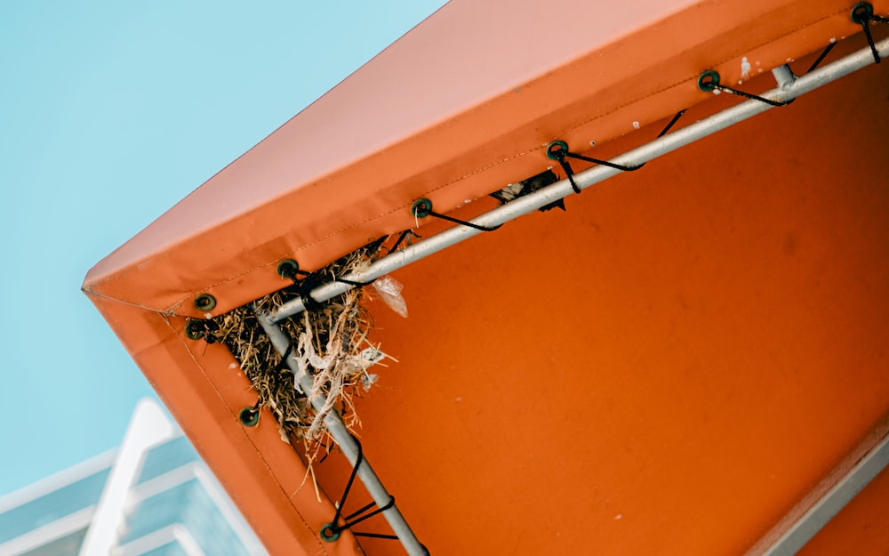 a bird's nest on top of an orange structure