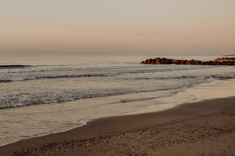 a group of people standing on top of a beach next to the ocean