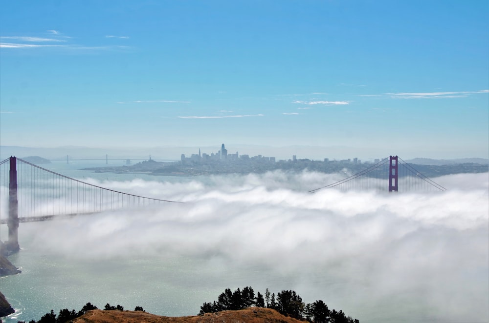 a view of the golden gate bridge from above the clouds