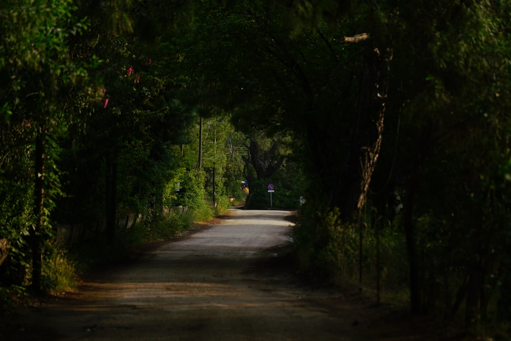 an empty road surrounded by trees and bushes