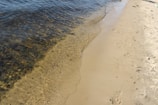 A sandy shoreline with gentle waves lapping at the beach.
