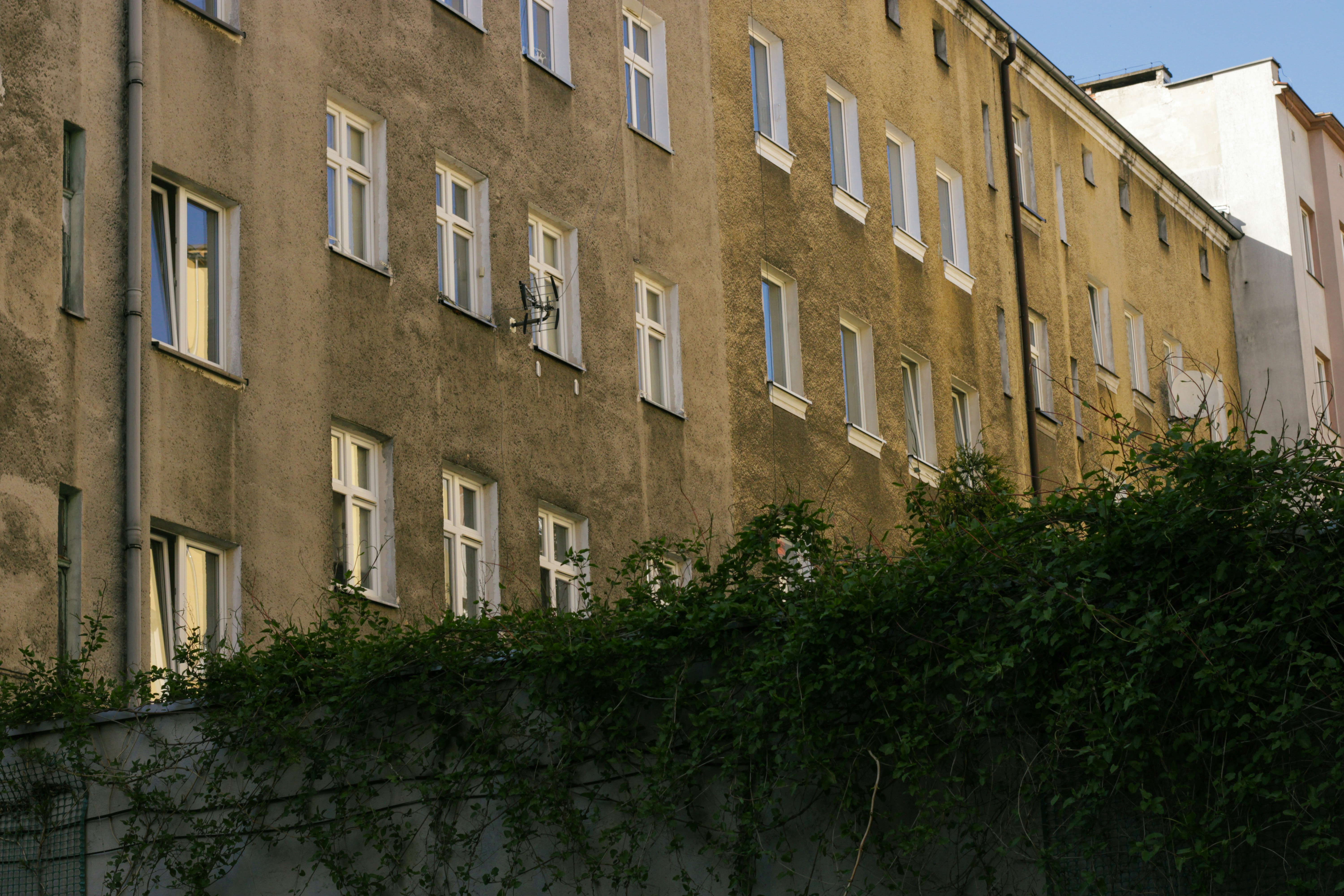 Photo by szymonek_wierzcholek