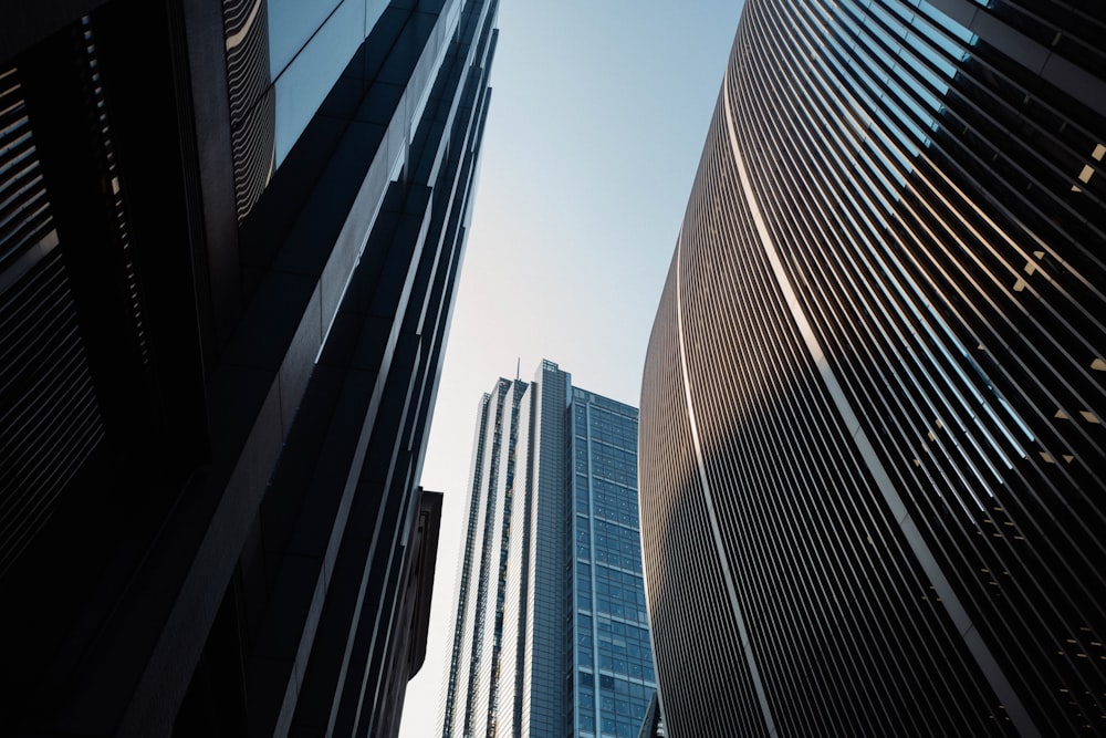 looking up at tall buildings in a city