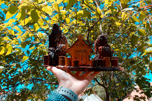 Close-up of hands holding a small model of a house with solar panels on the roof.