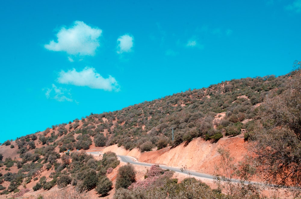 a road going up a hill with trees on the side