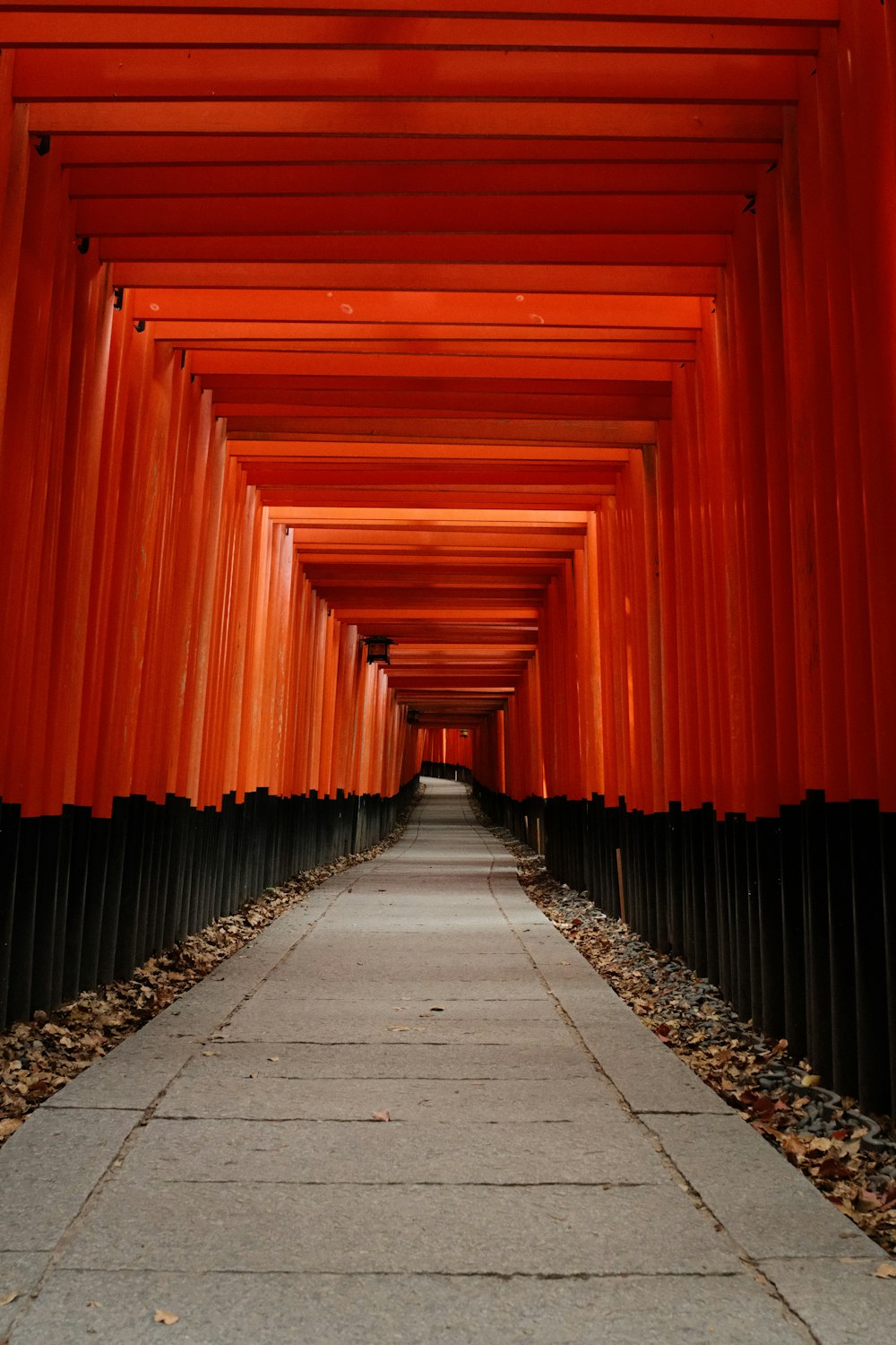a walkway lined with orange columns in the middle of a park