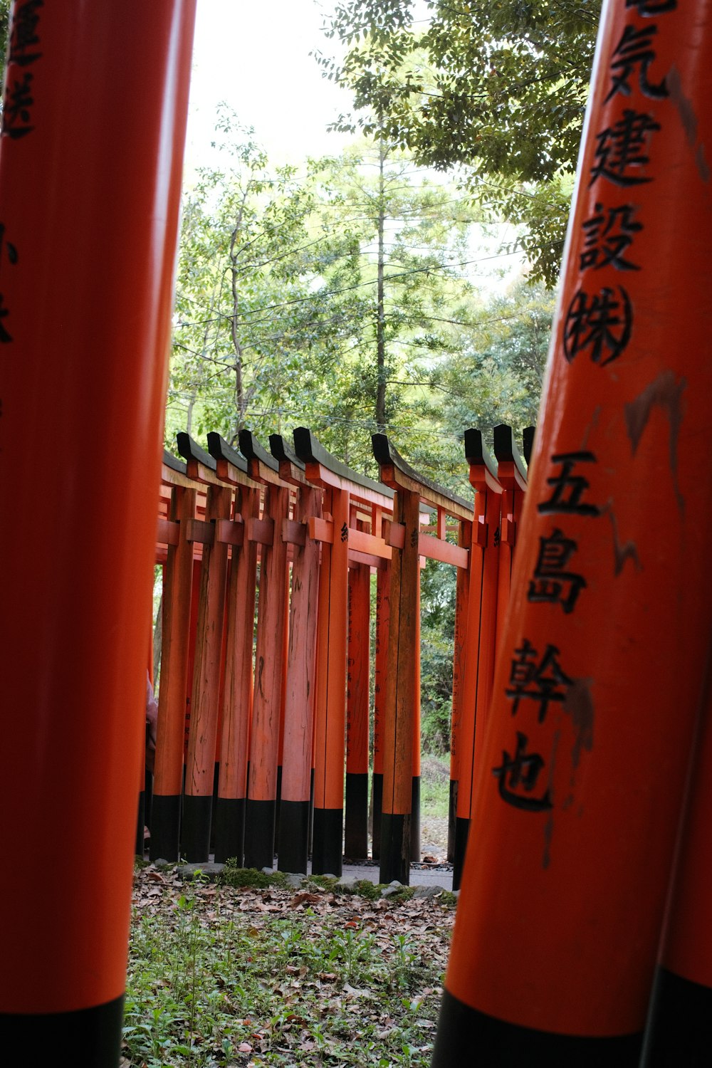 a group of orange and black poles with writing on them