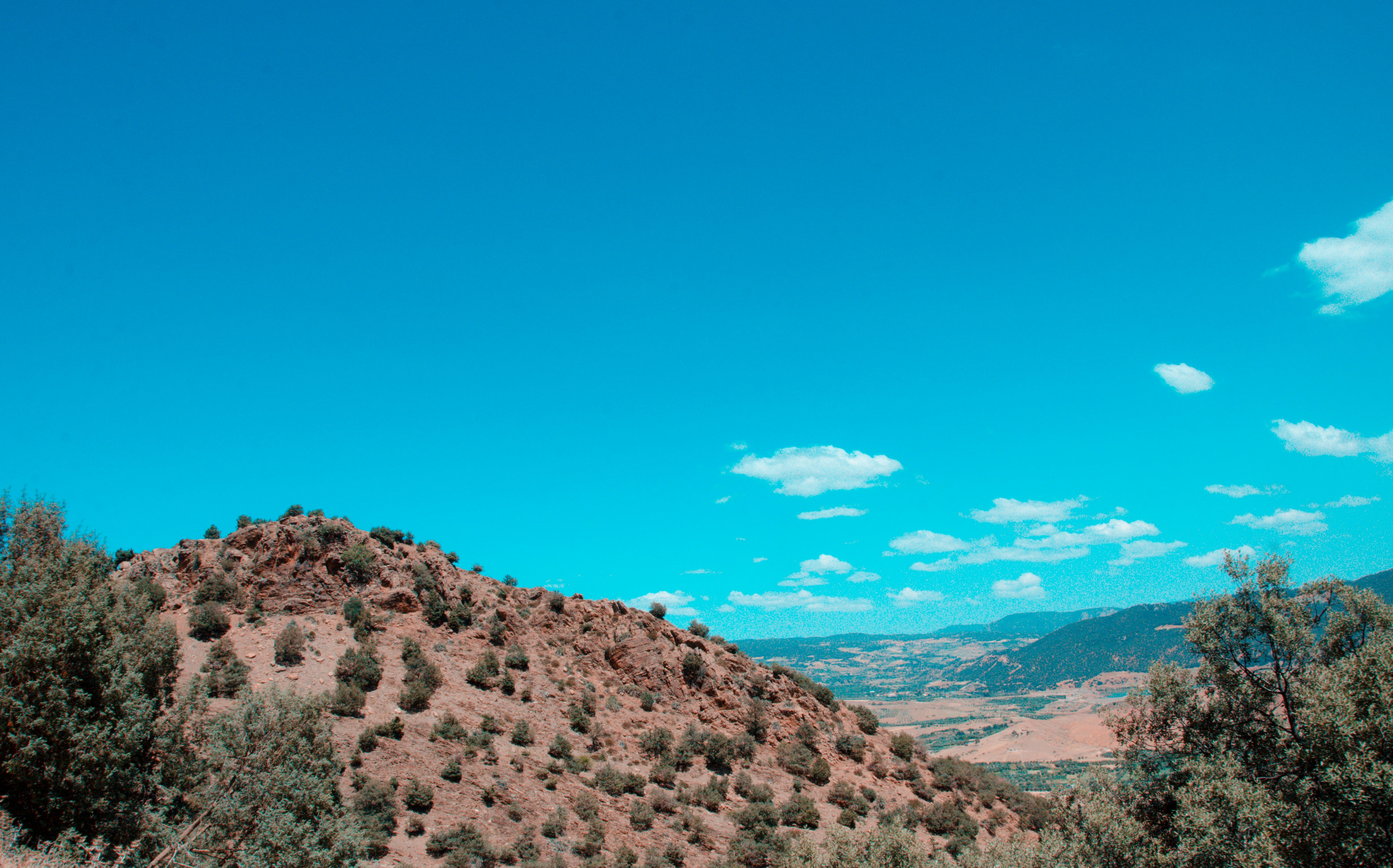 a view of a hill with trees and mountains in the background