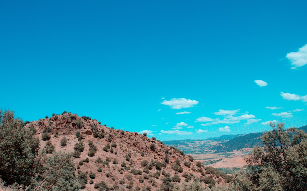 a view of a hill with trees and mountains in the background