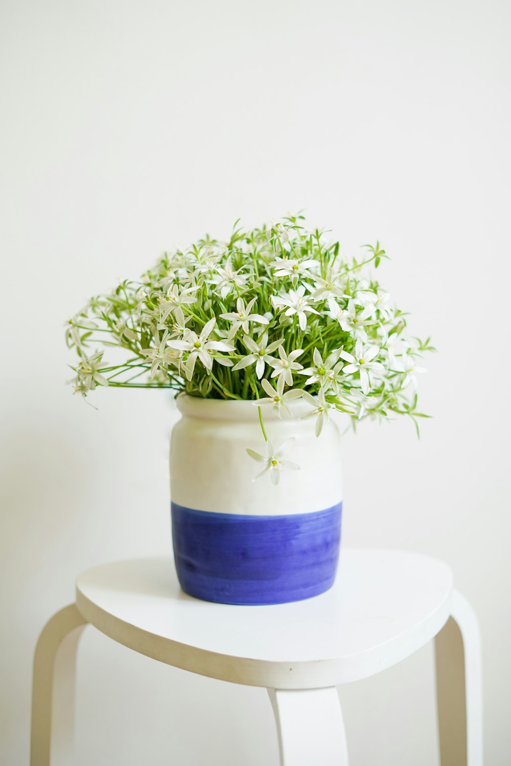 a white and blue vase with flowers on a table