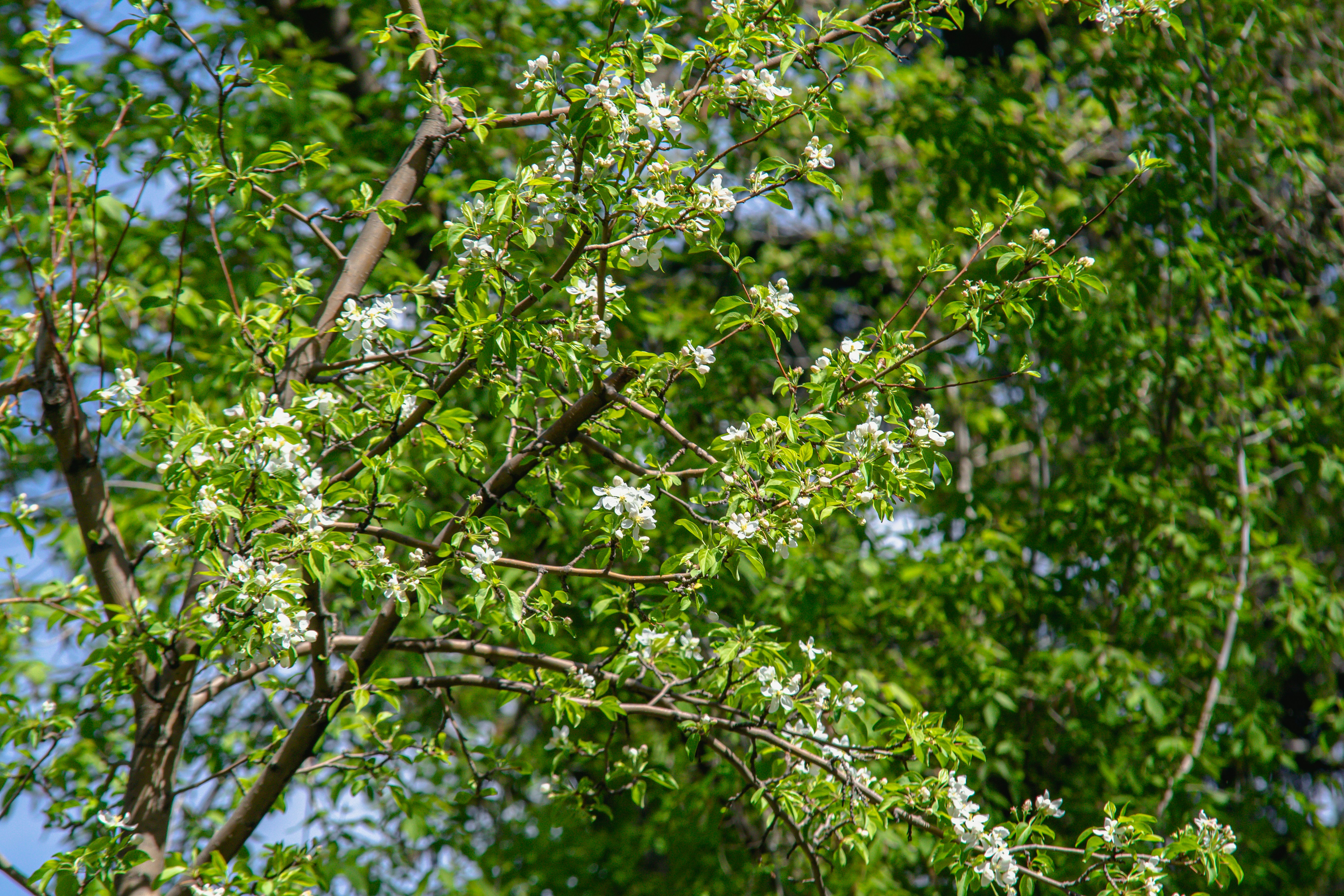 Photo by photo_tanbir