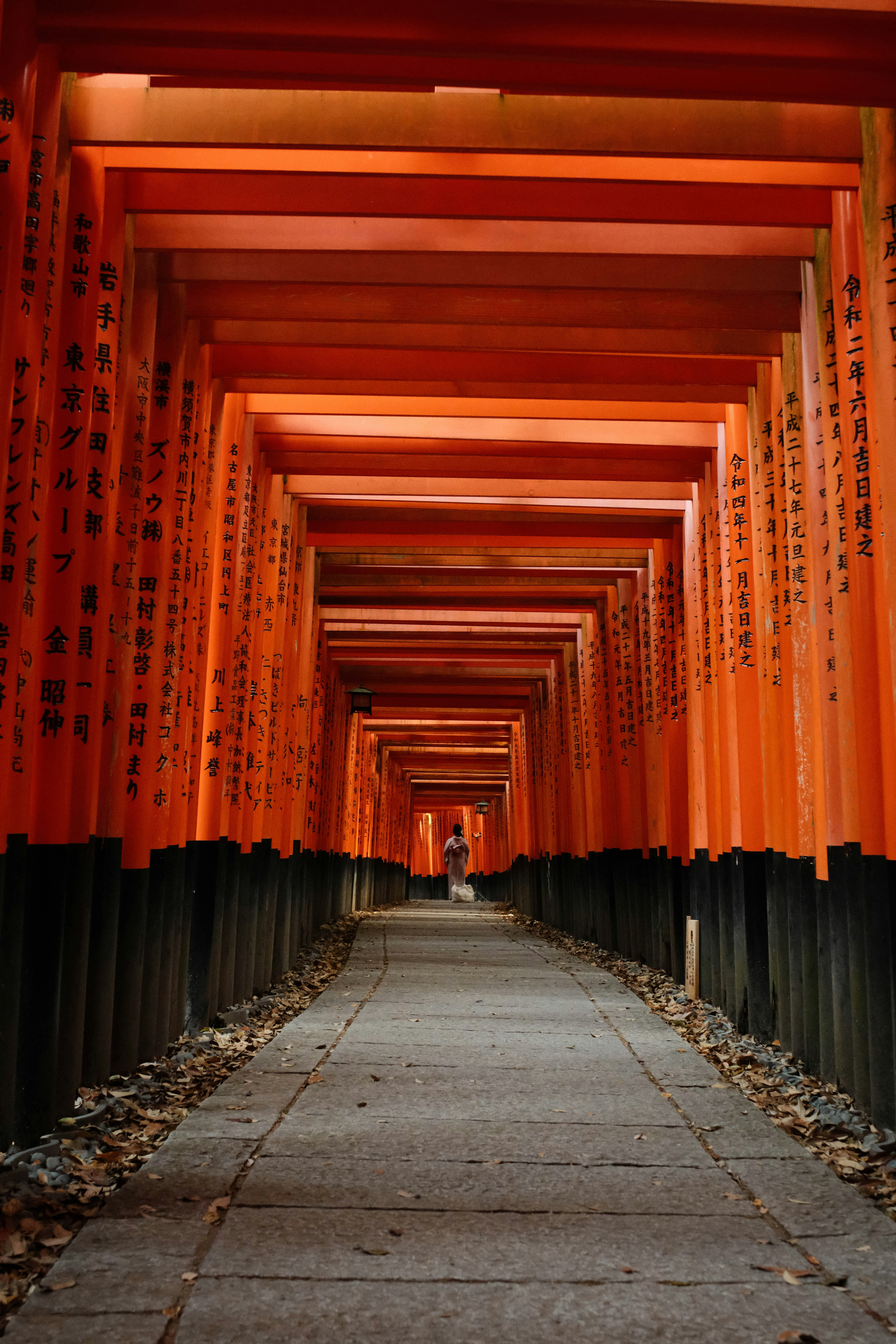 a walkway lined with rows of orange tori tori tori tori tori tori tori tori tori