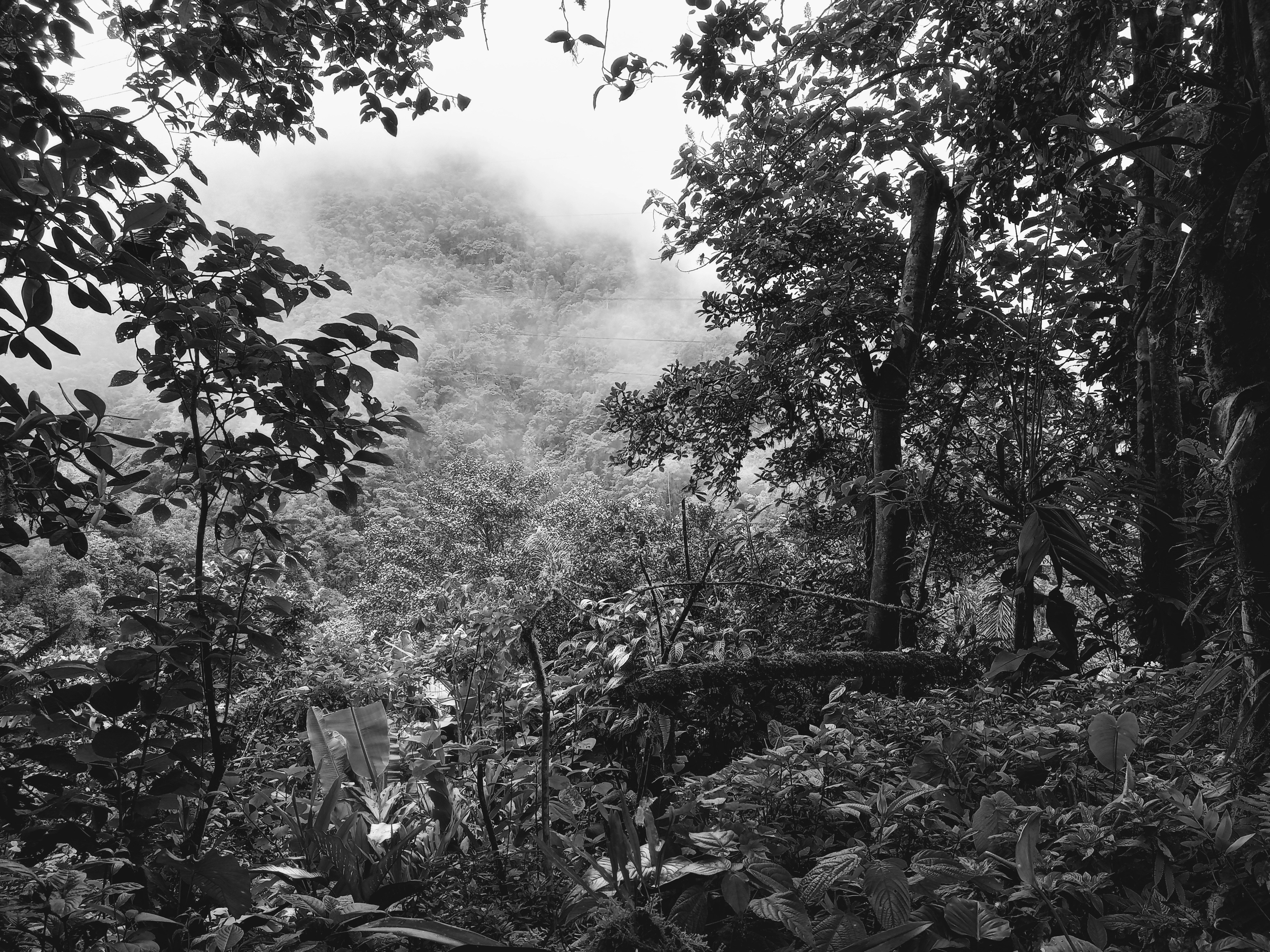 Photo by carlosegarciae