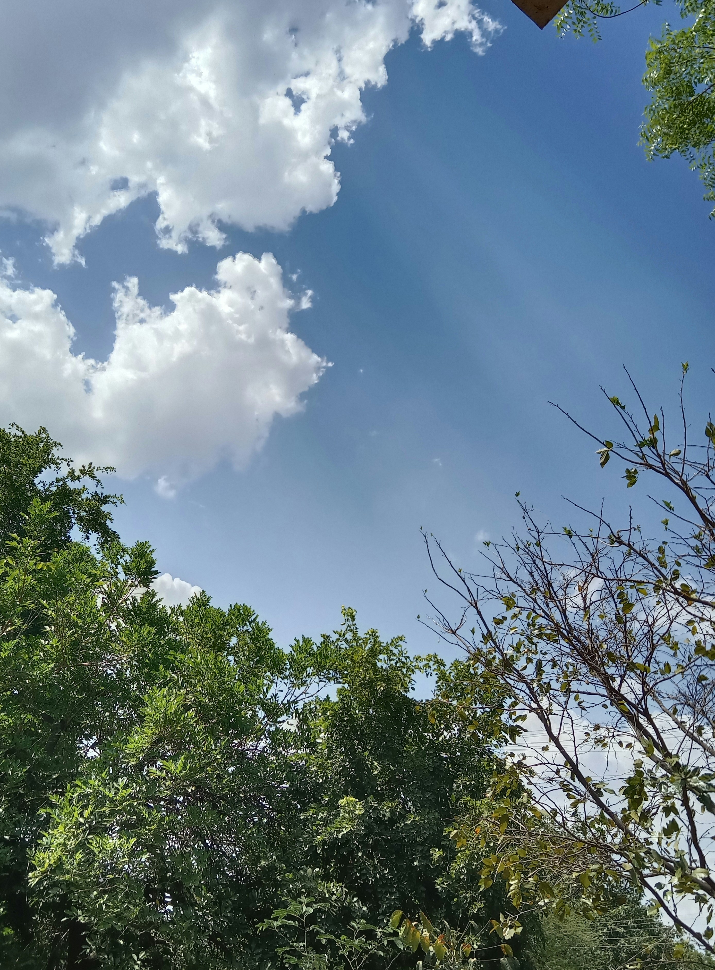 Photo by shutterbugs_3130