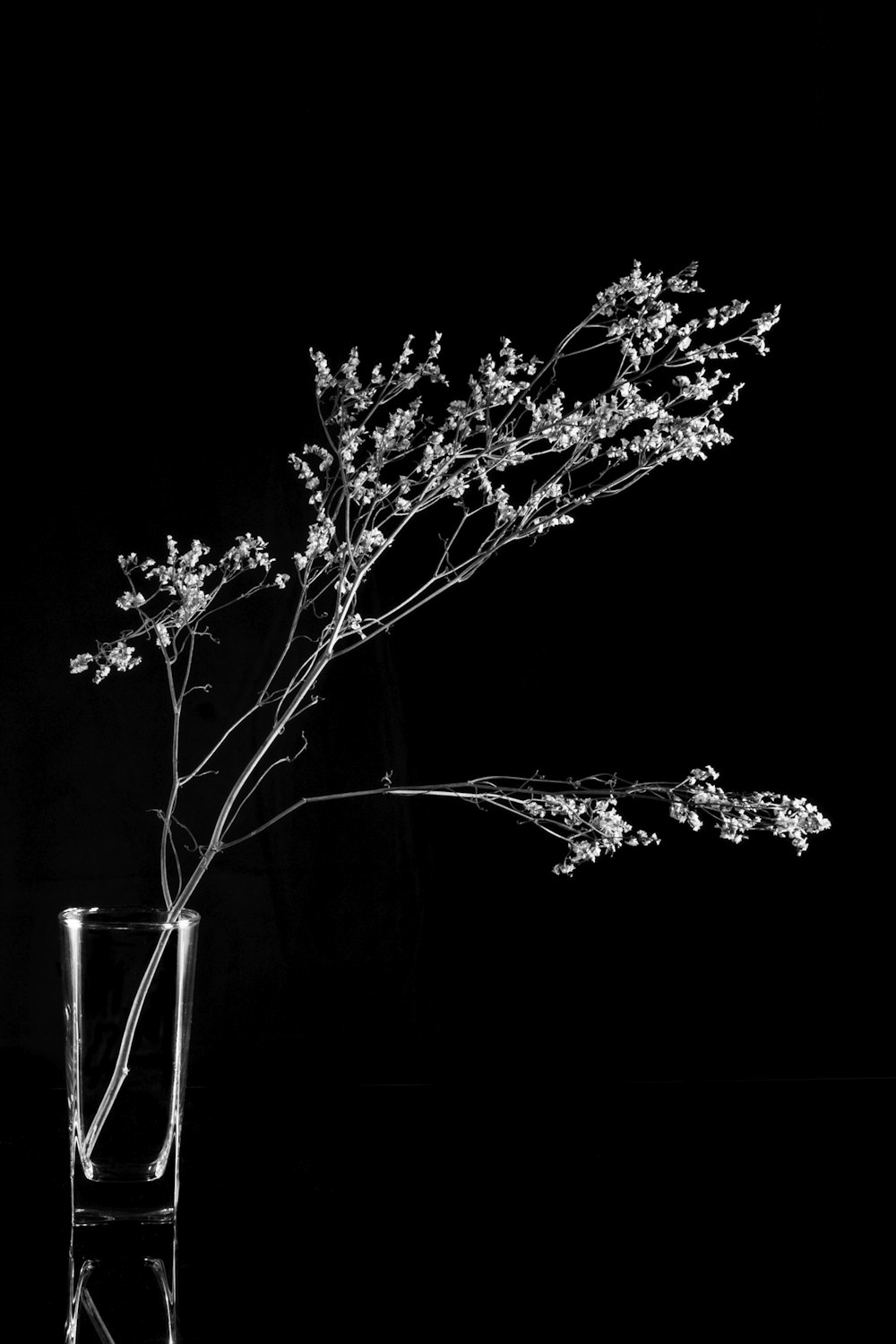 a black and white photo of a flower in a vase