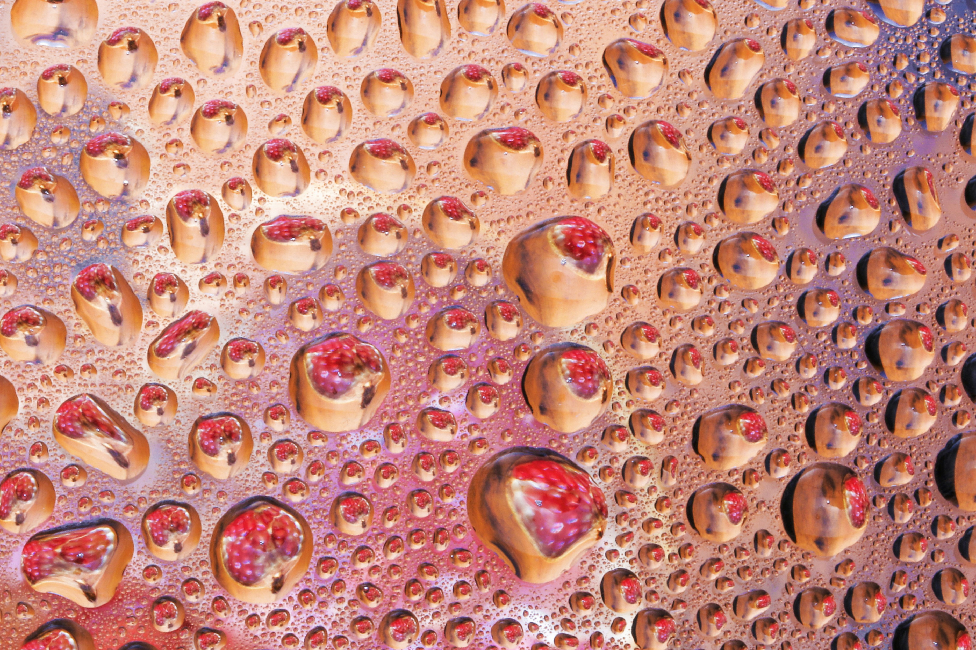 a close up of water droplets on a surface