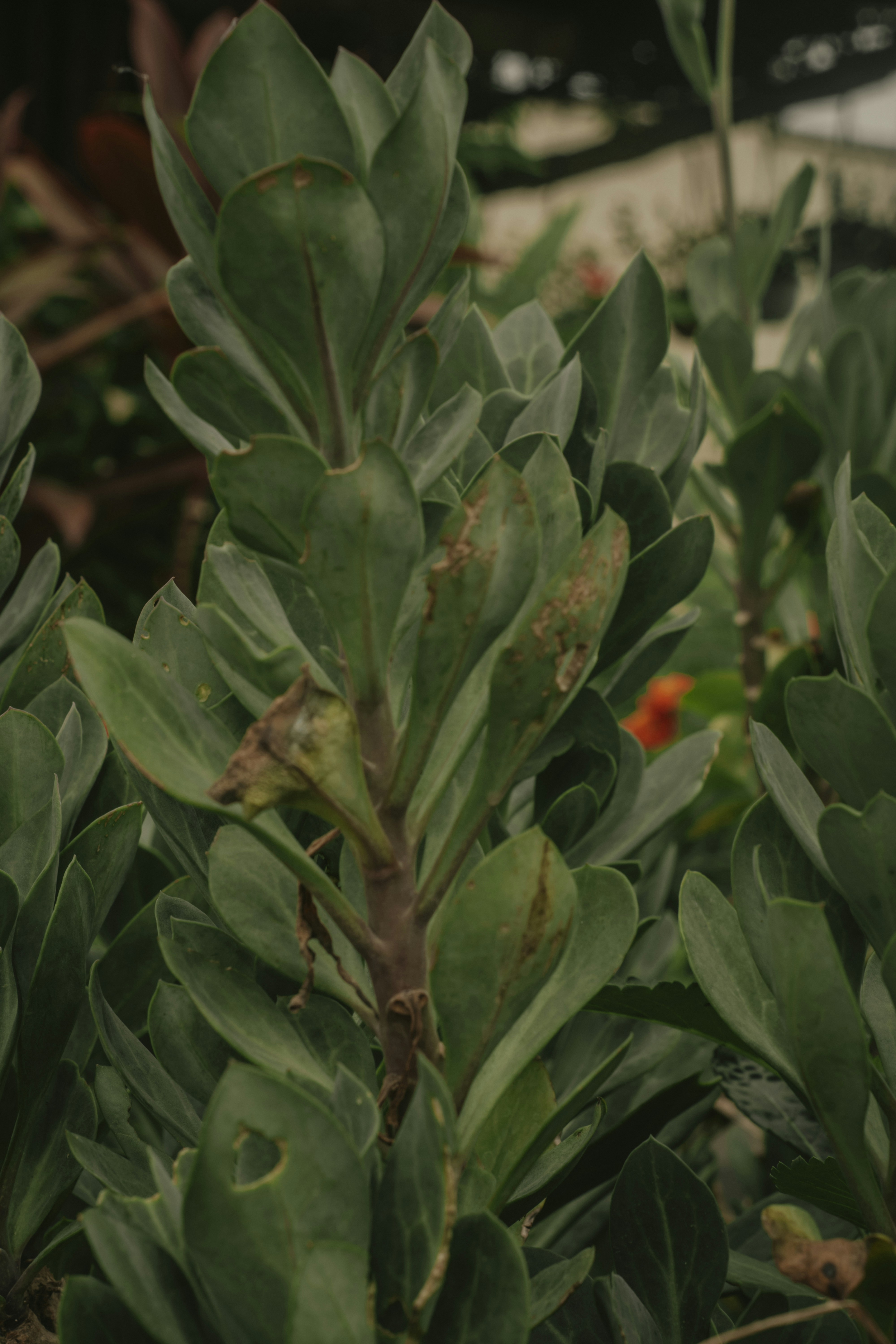 Photo by utunzajiwamazingira