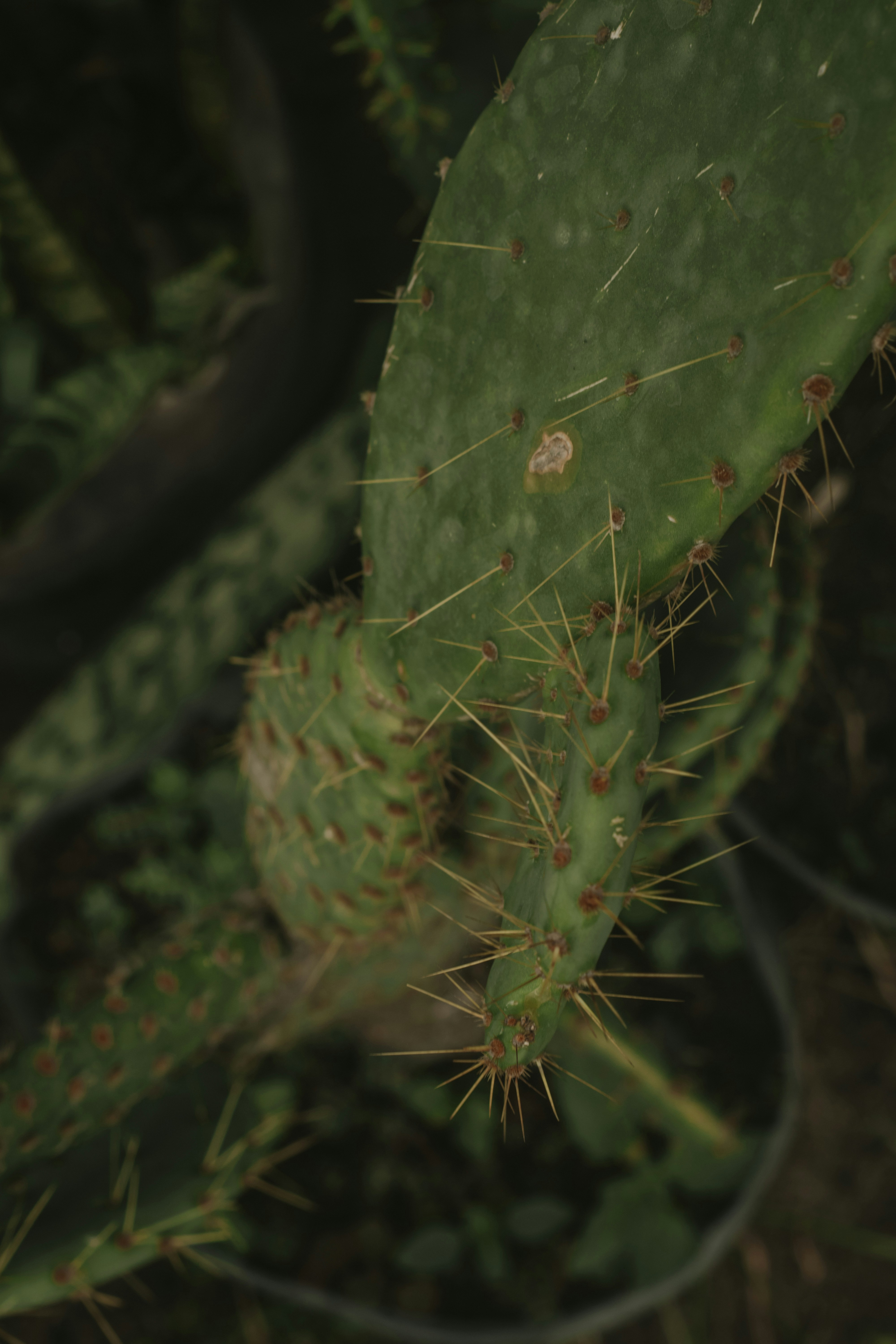 Photo by utunzajiwamazingira