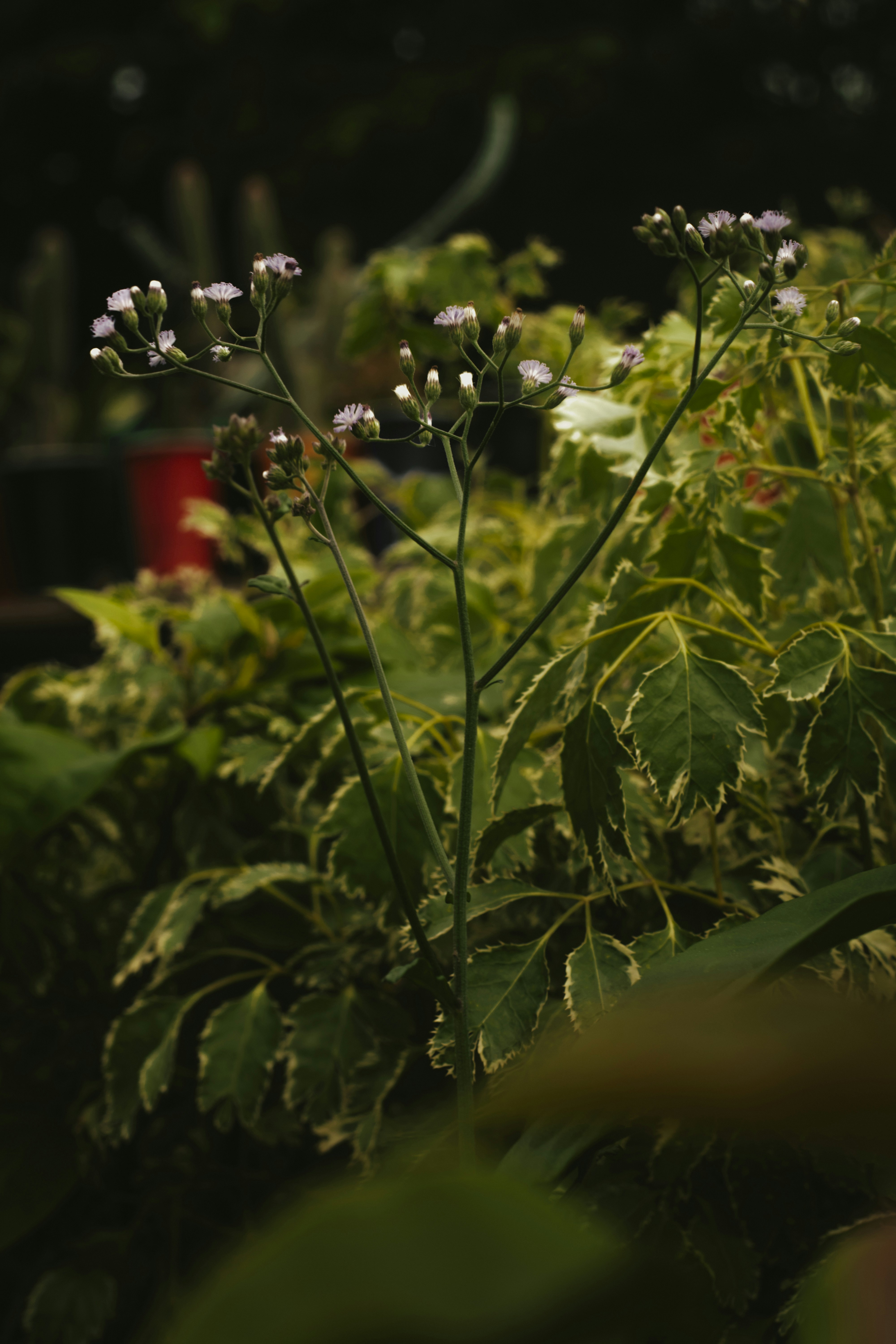 Photo by utunzajiwamazingira