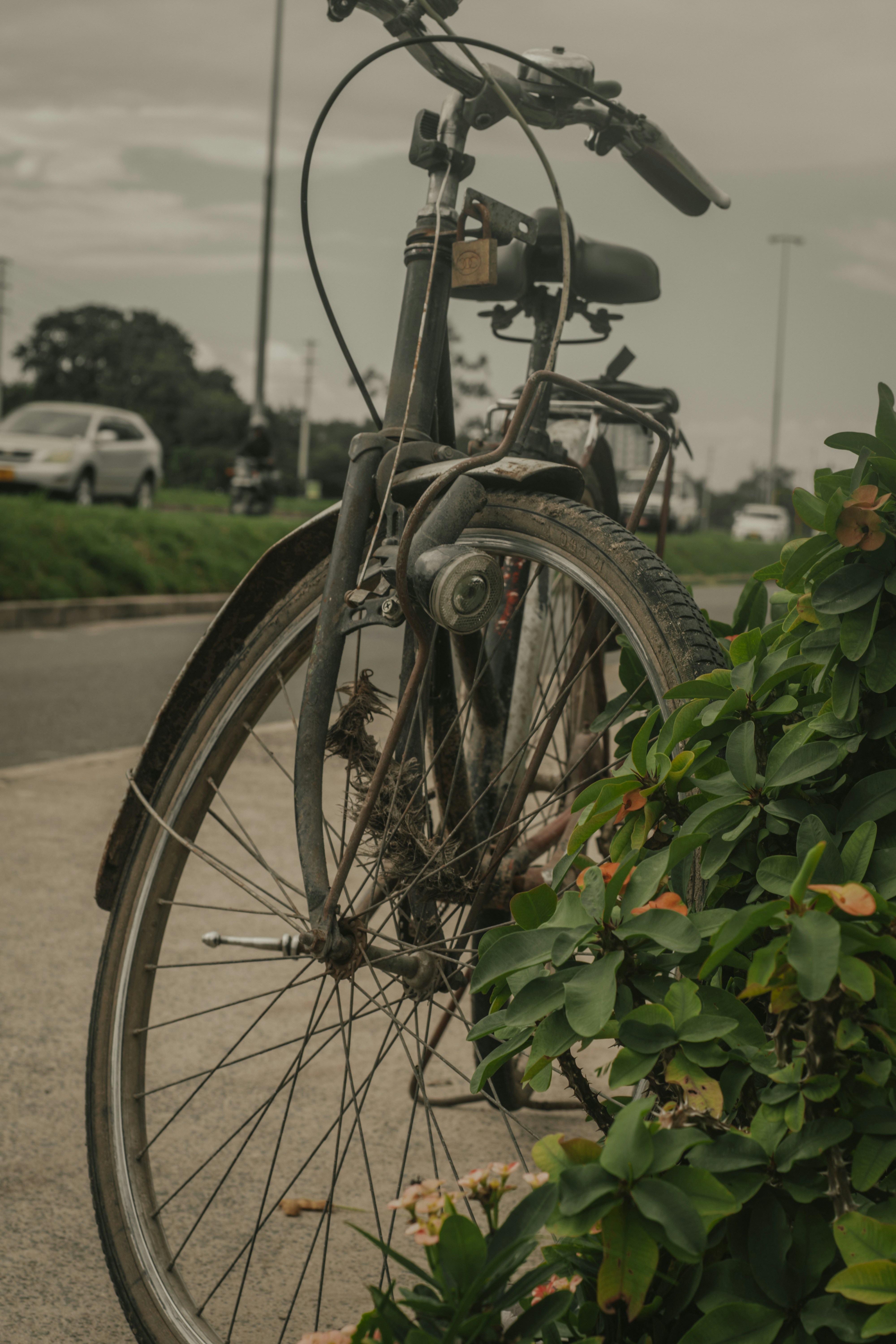 Photo by utunzajiwamazingira