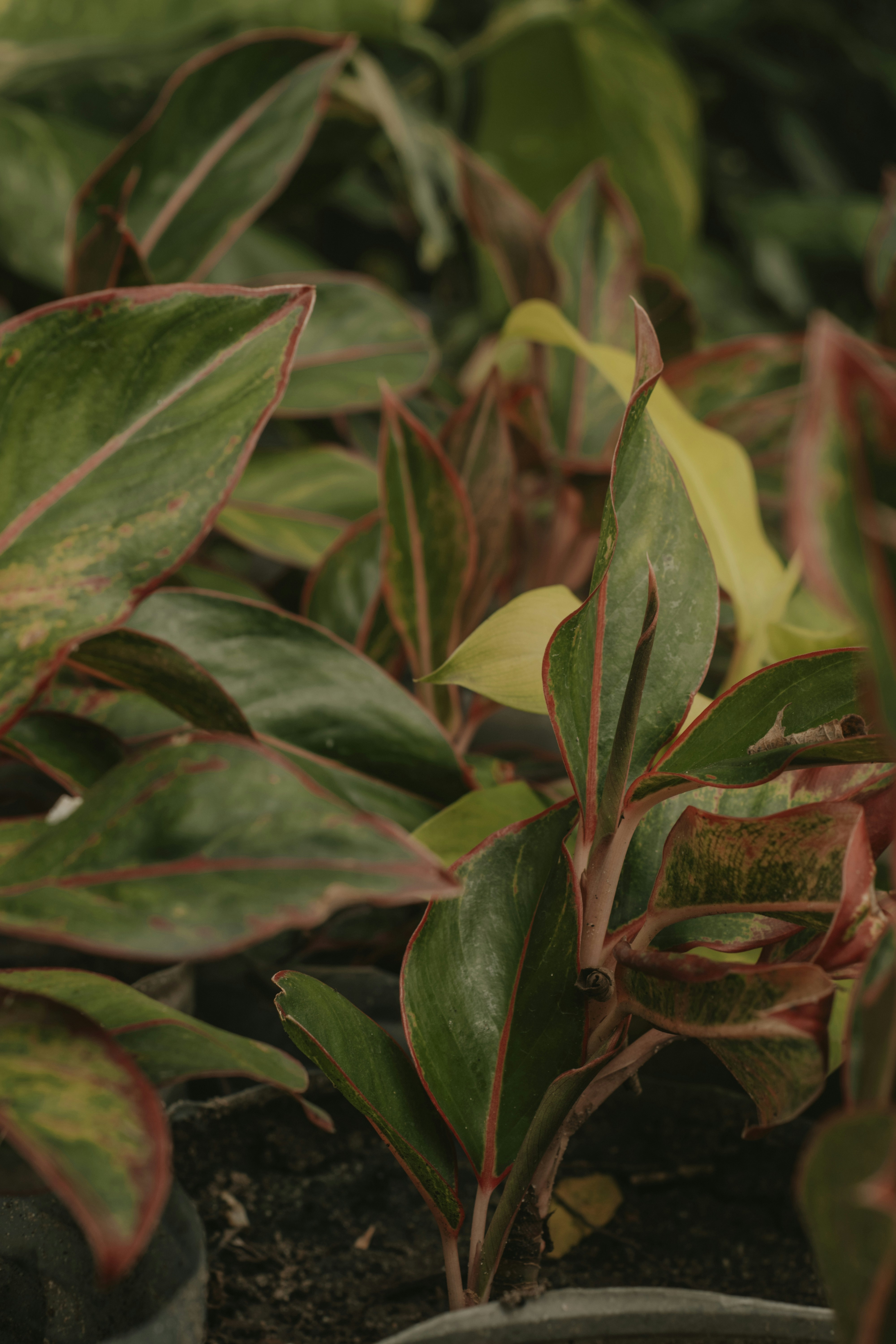 Photo by utunzajiwamazingira