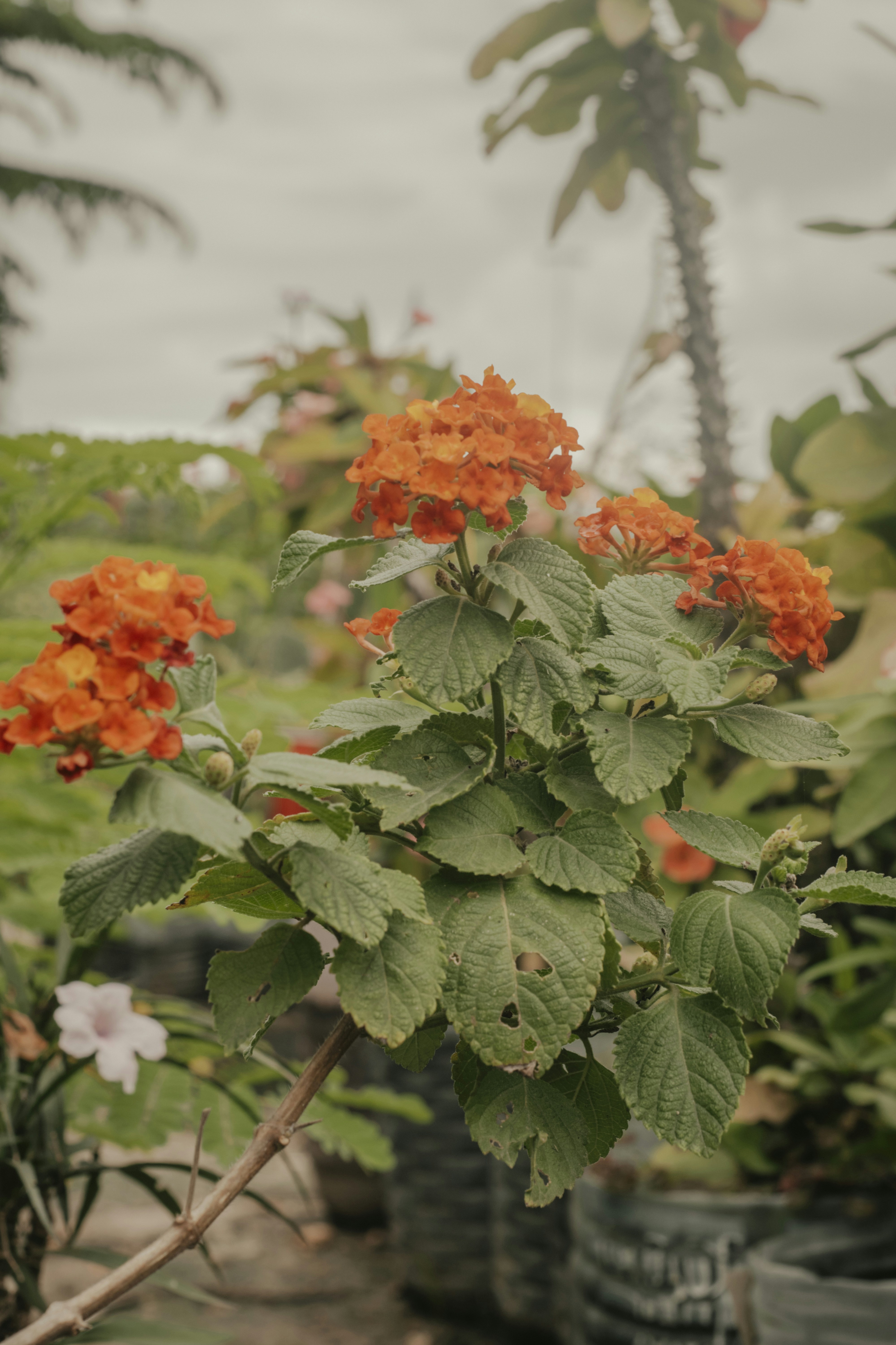 Photo by utunzajiwamazingira