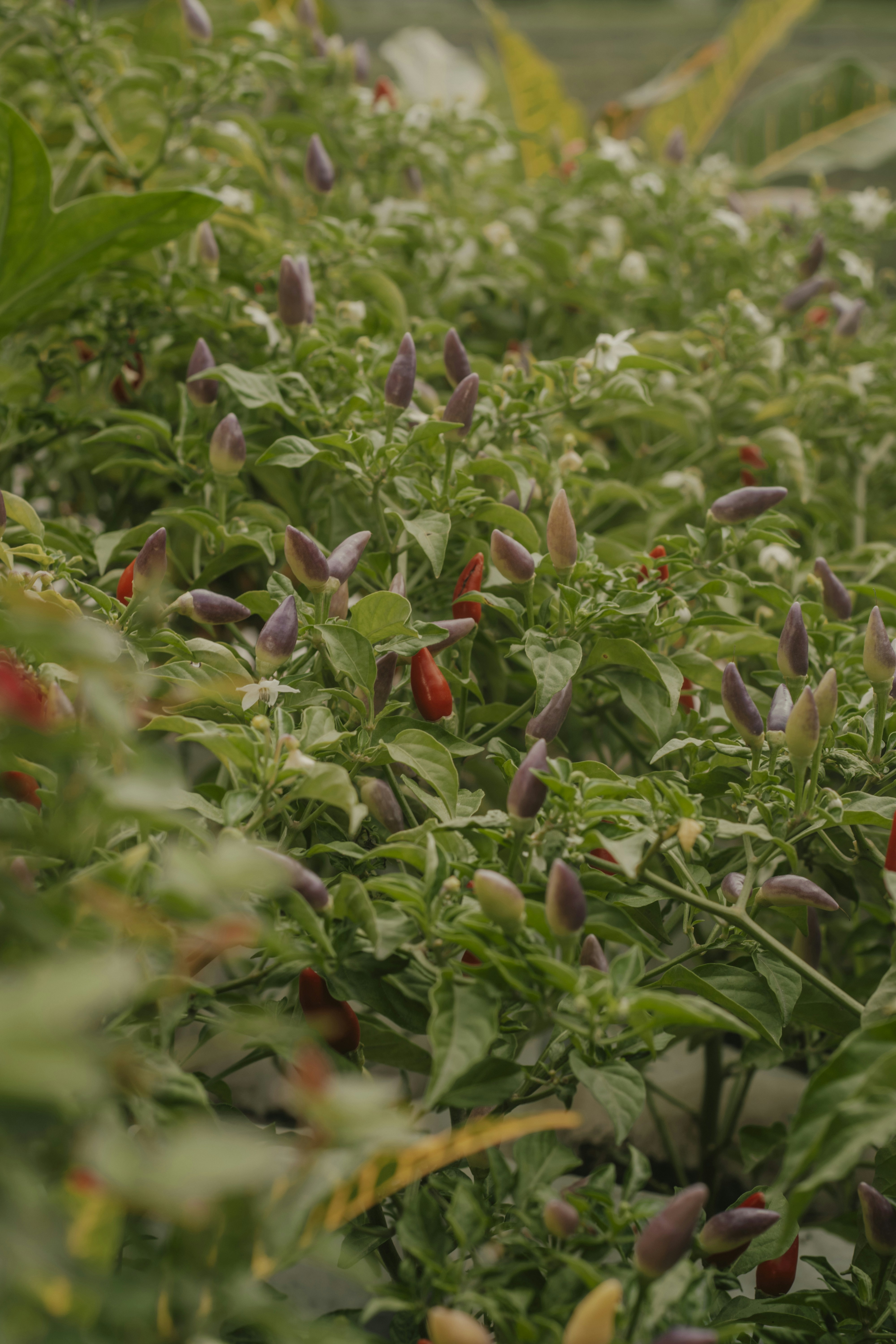 Photo by utunzajiwamazingira