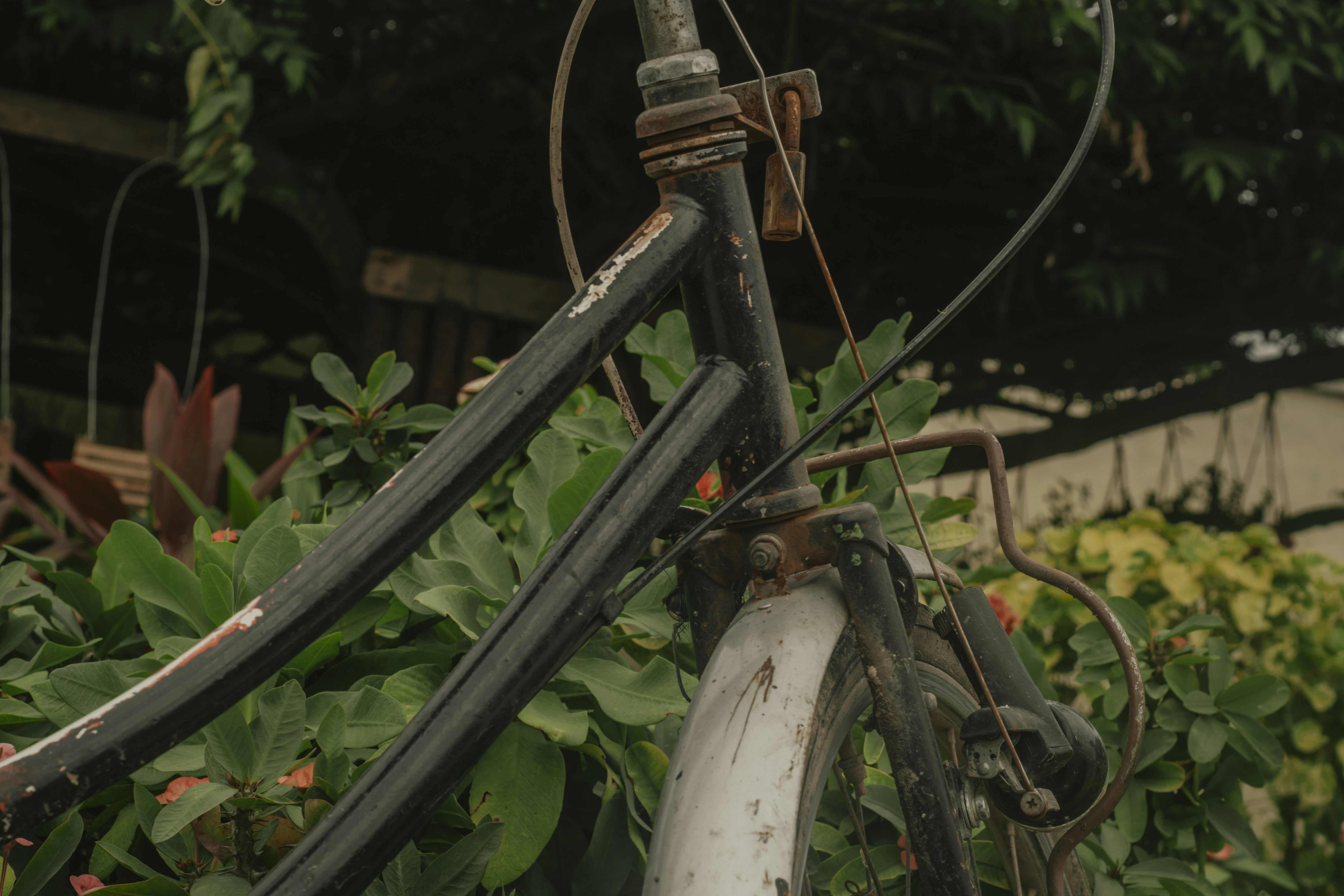 Photo by utunzajiwamazingira