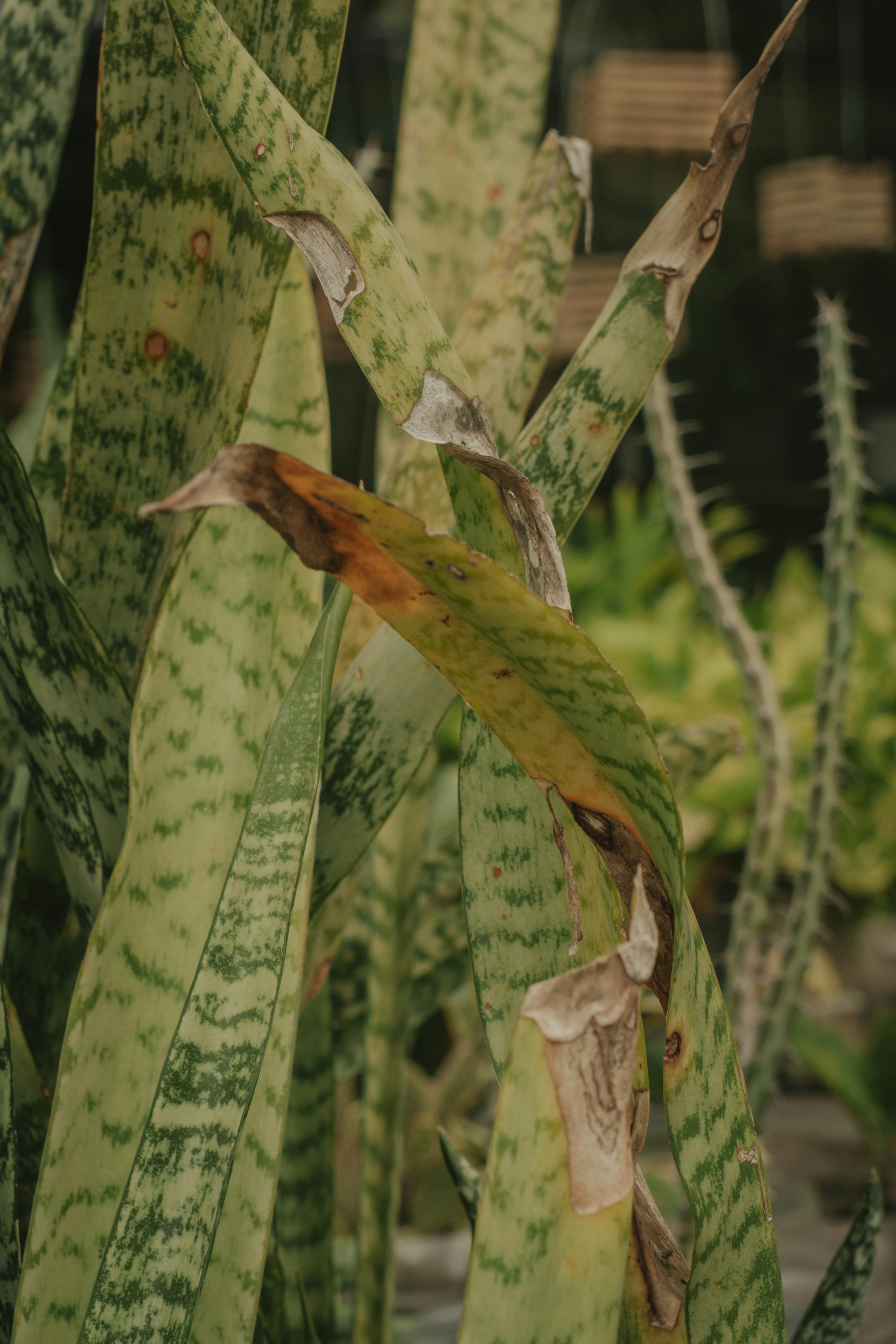 Photo by utunzajiwamazingira