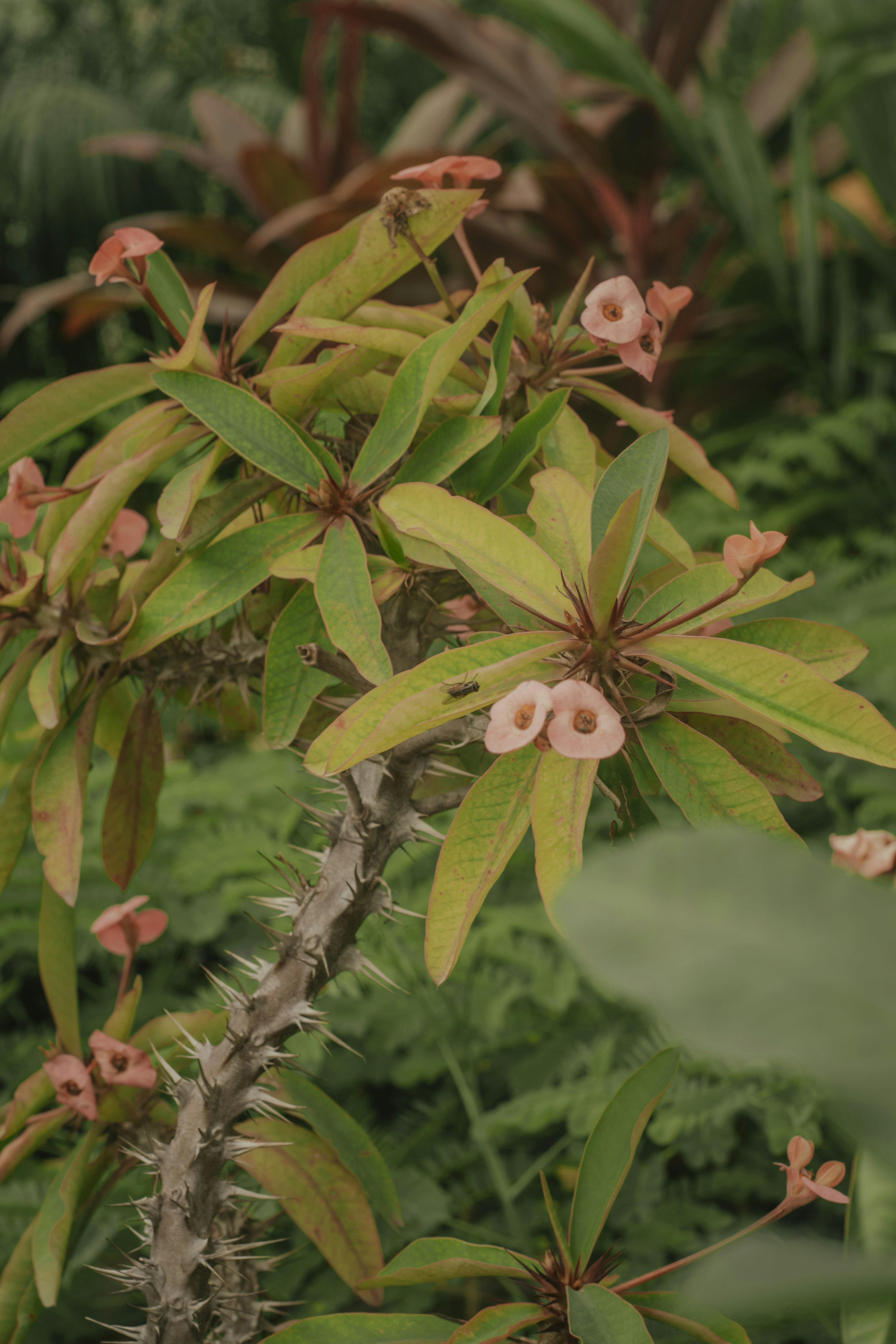 Photo by utunzajiwamazingira