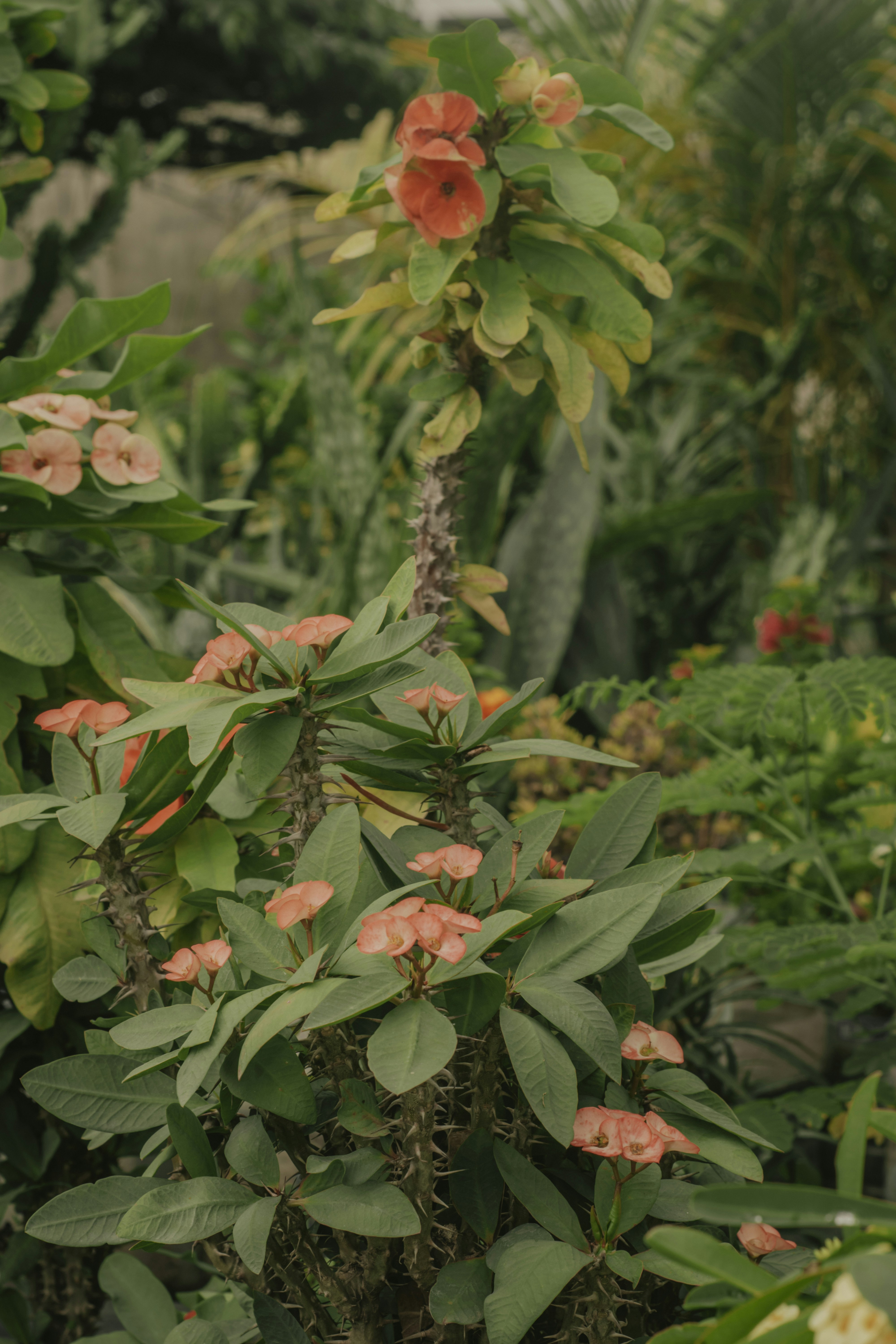 Photo by utunzajiwamazingira