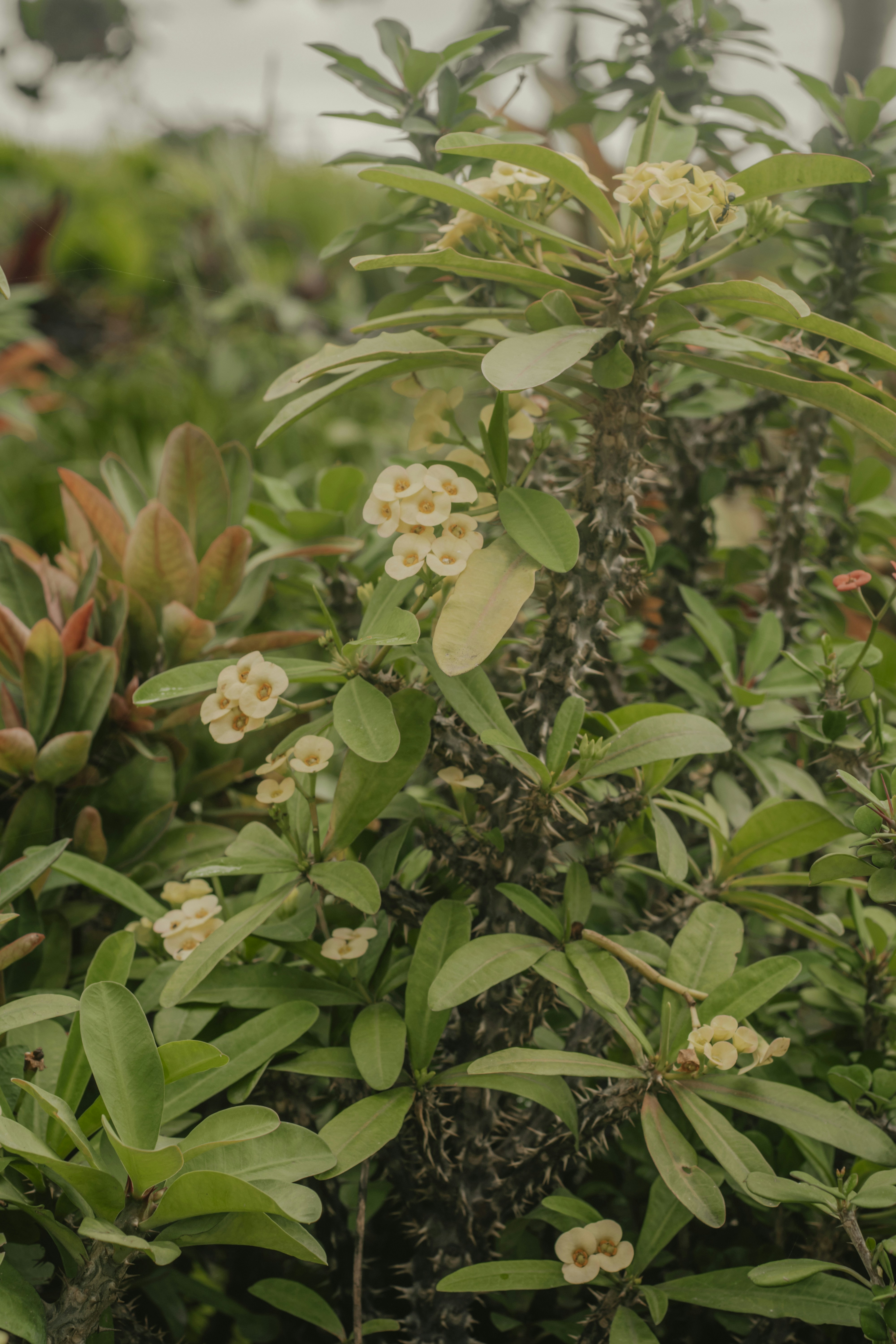 Photo by utunzajiwamazingira