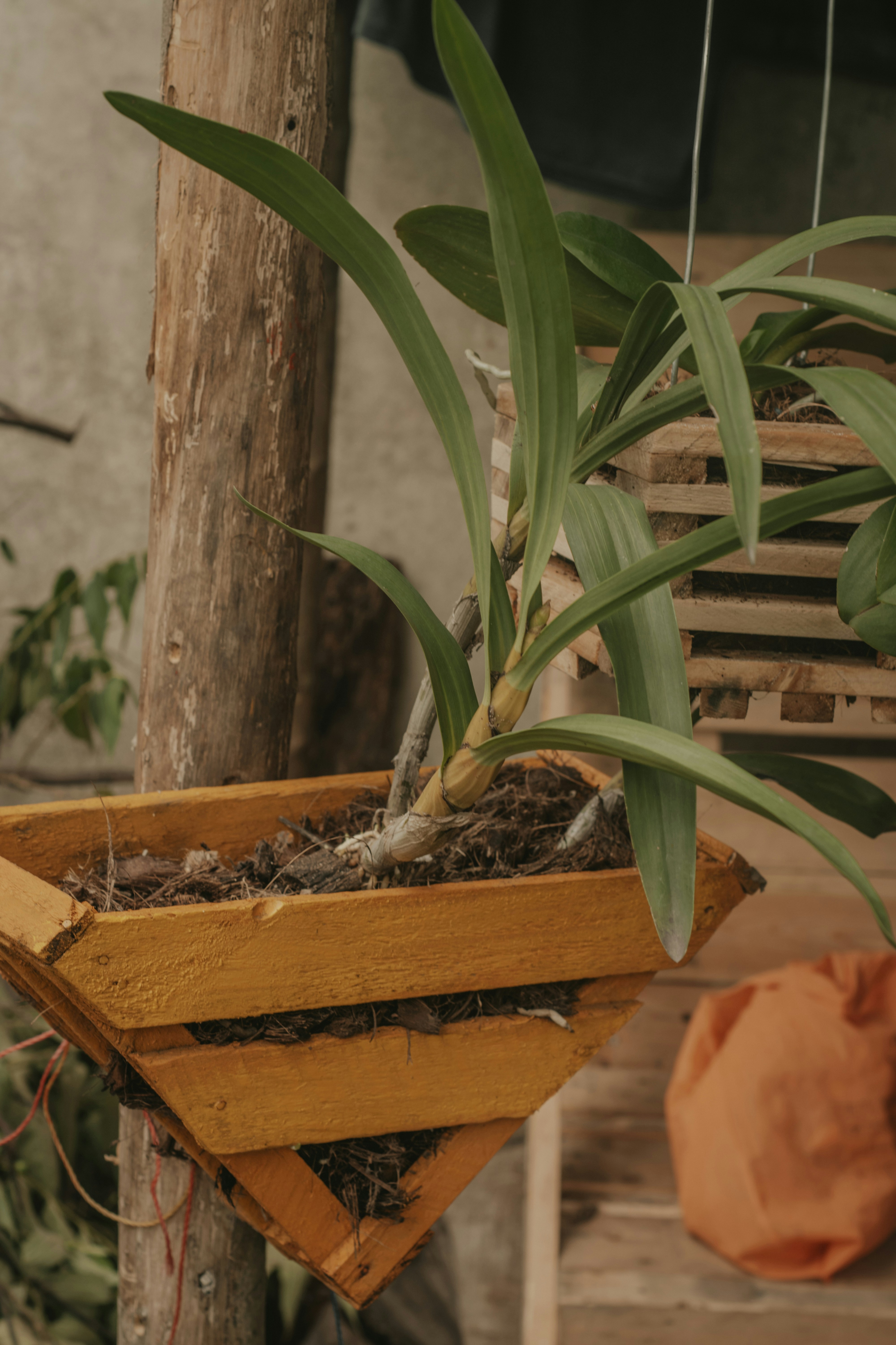 Photo by utunzajiwamazingira