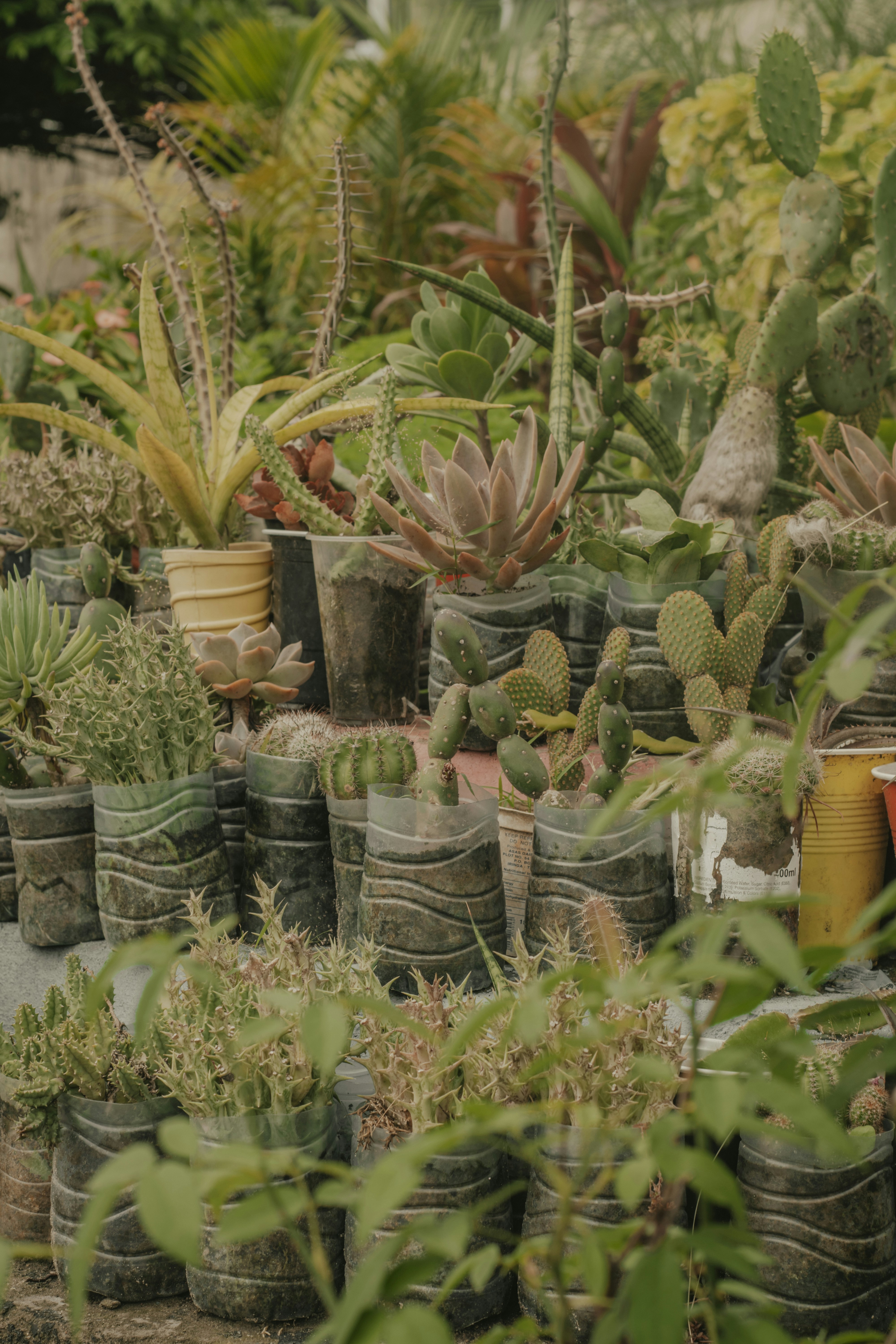 Photo by utunzajiwamazingira