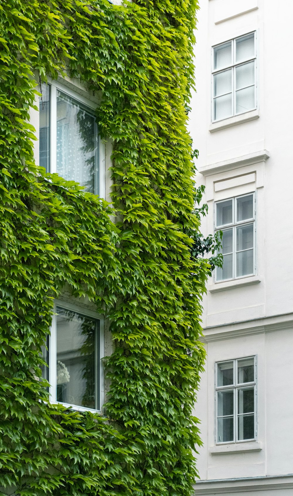 a tall building covered in green plants next to a white building