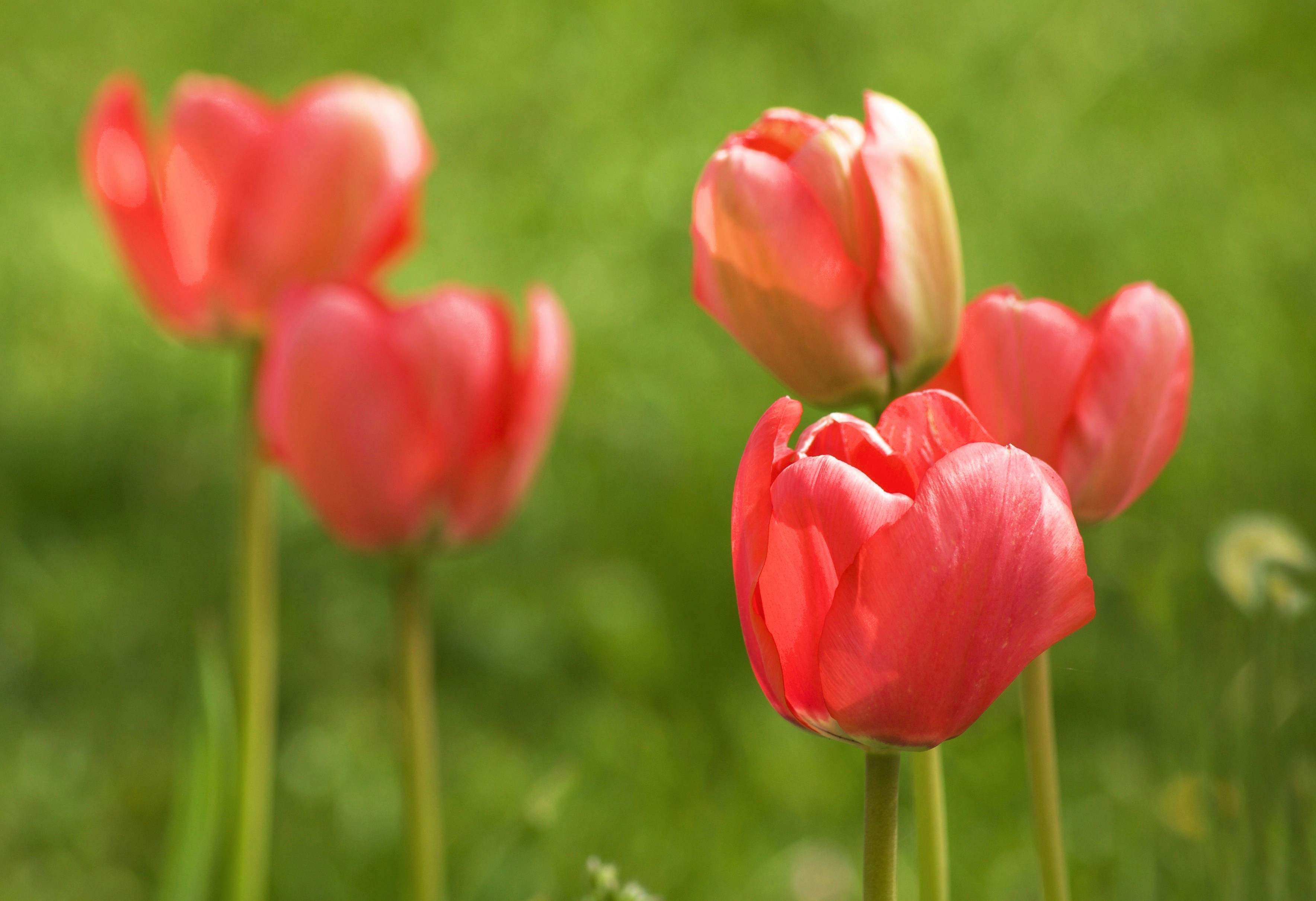 Photo by mariobeducci