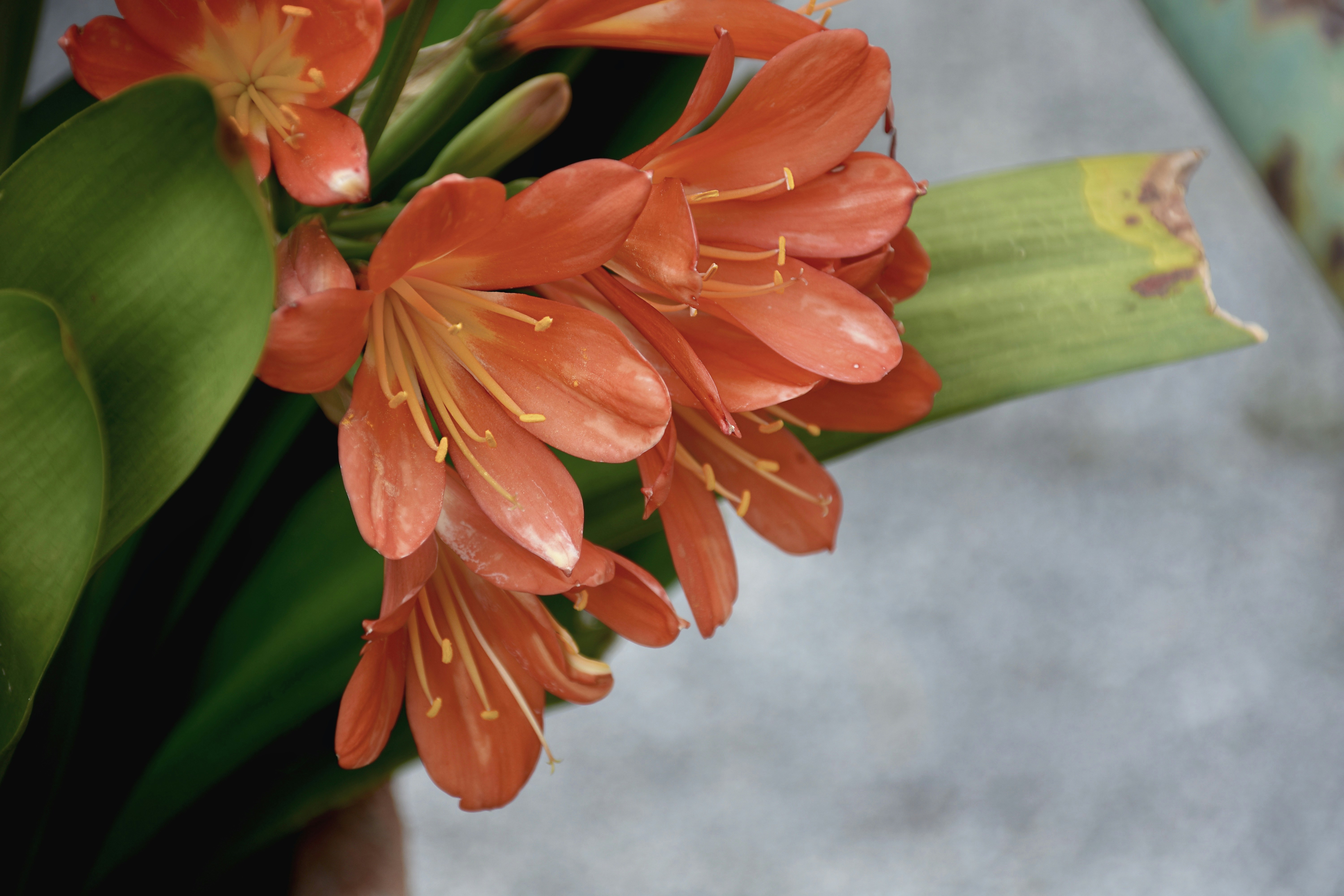 Photo by mariobeducci