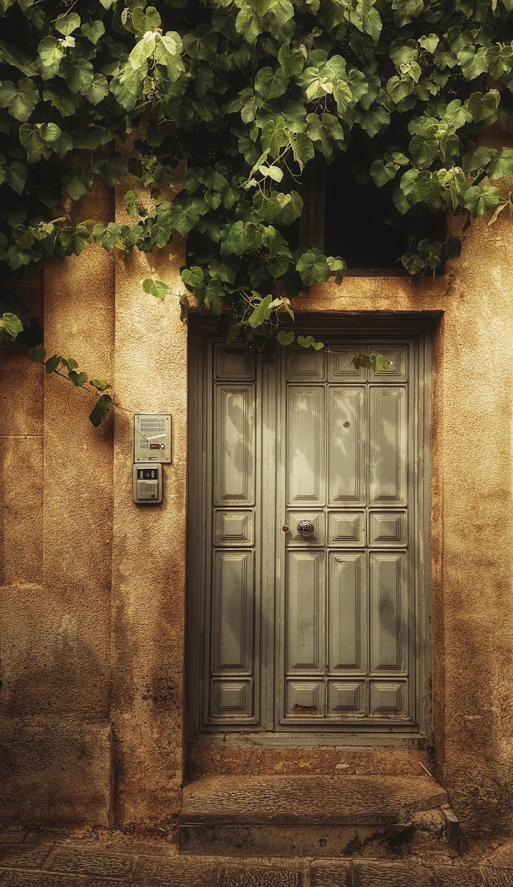 an old door with vines growing over it