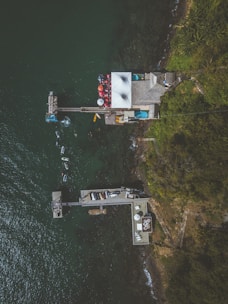 An aerial view of a waterfront area with docks extending into the water from a heavily vegetated coastline. One dock has a canopy with people gathered, while another features boats and a seating area. The water appears greenish and several small boats are visible around the docks.